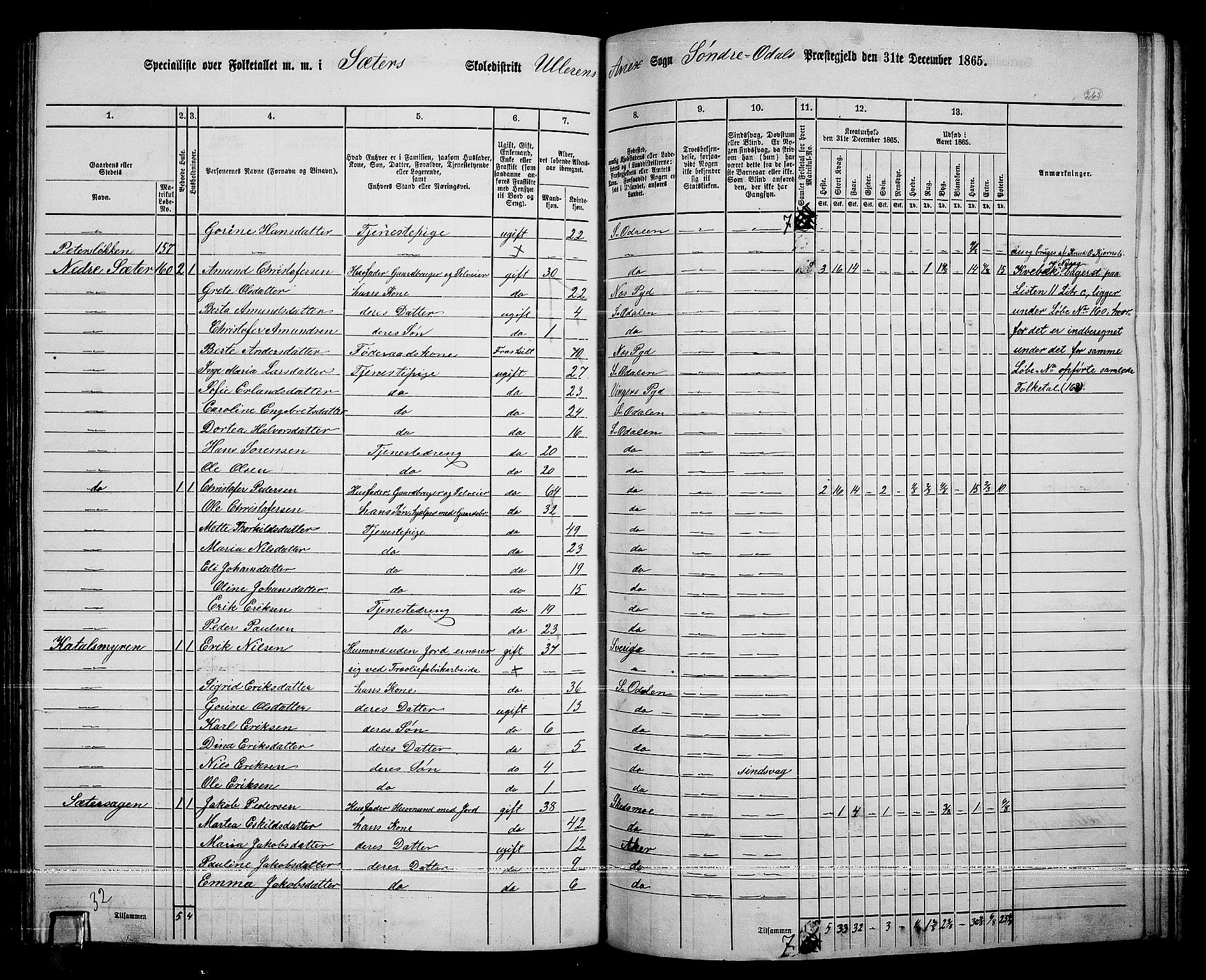 RA, 1865 census for Sør-Odal, 1865, p. 233