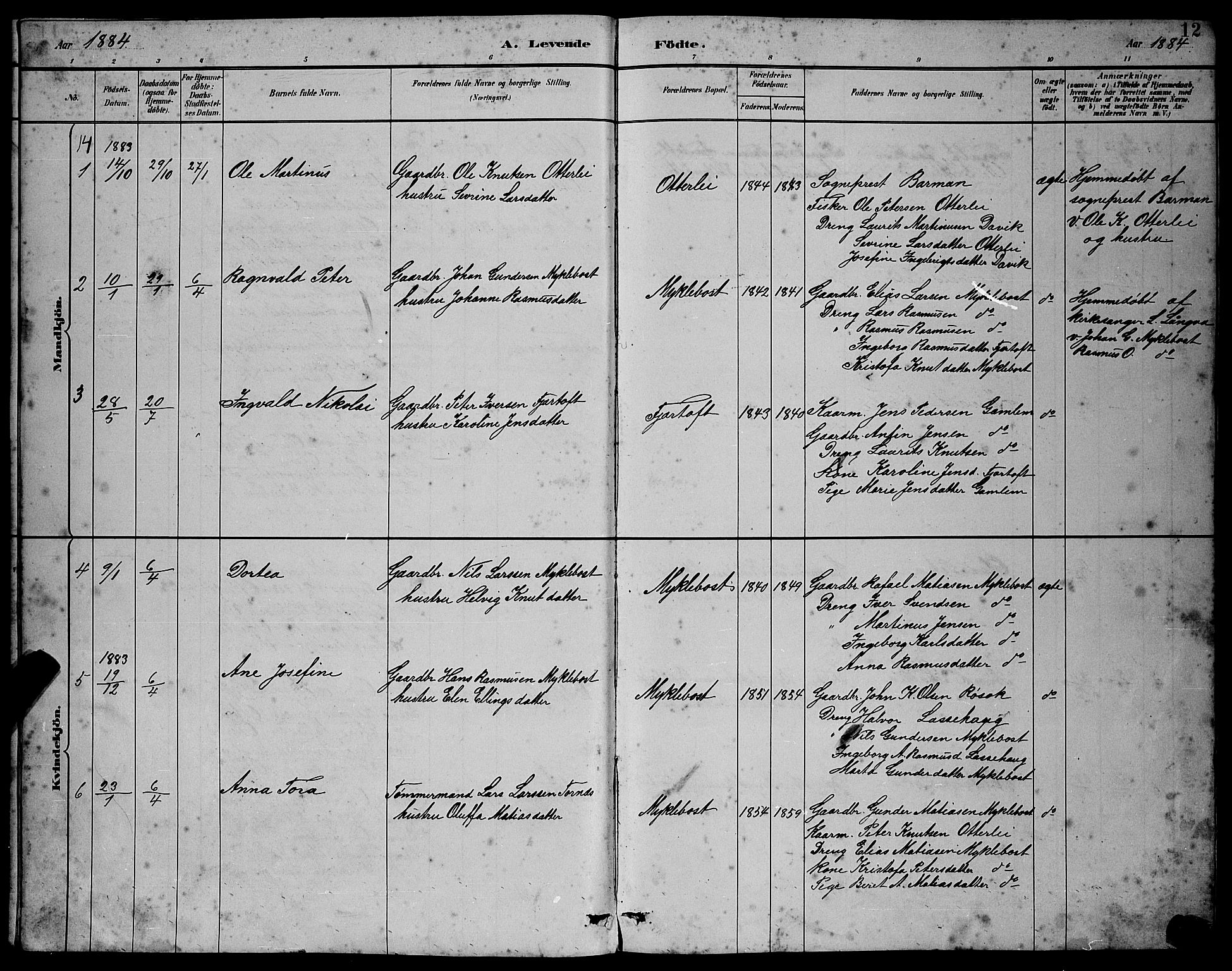 Ministerialprotokoller, klokkerbøker og fødselsregistre - Møre og Romsdal, SAT/A-1454/538/L0523: Parish register (copy) no. 538C01, 1881-1900, p. 12