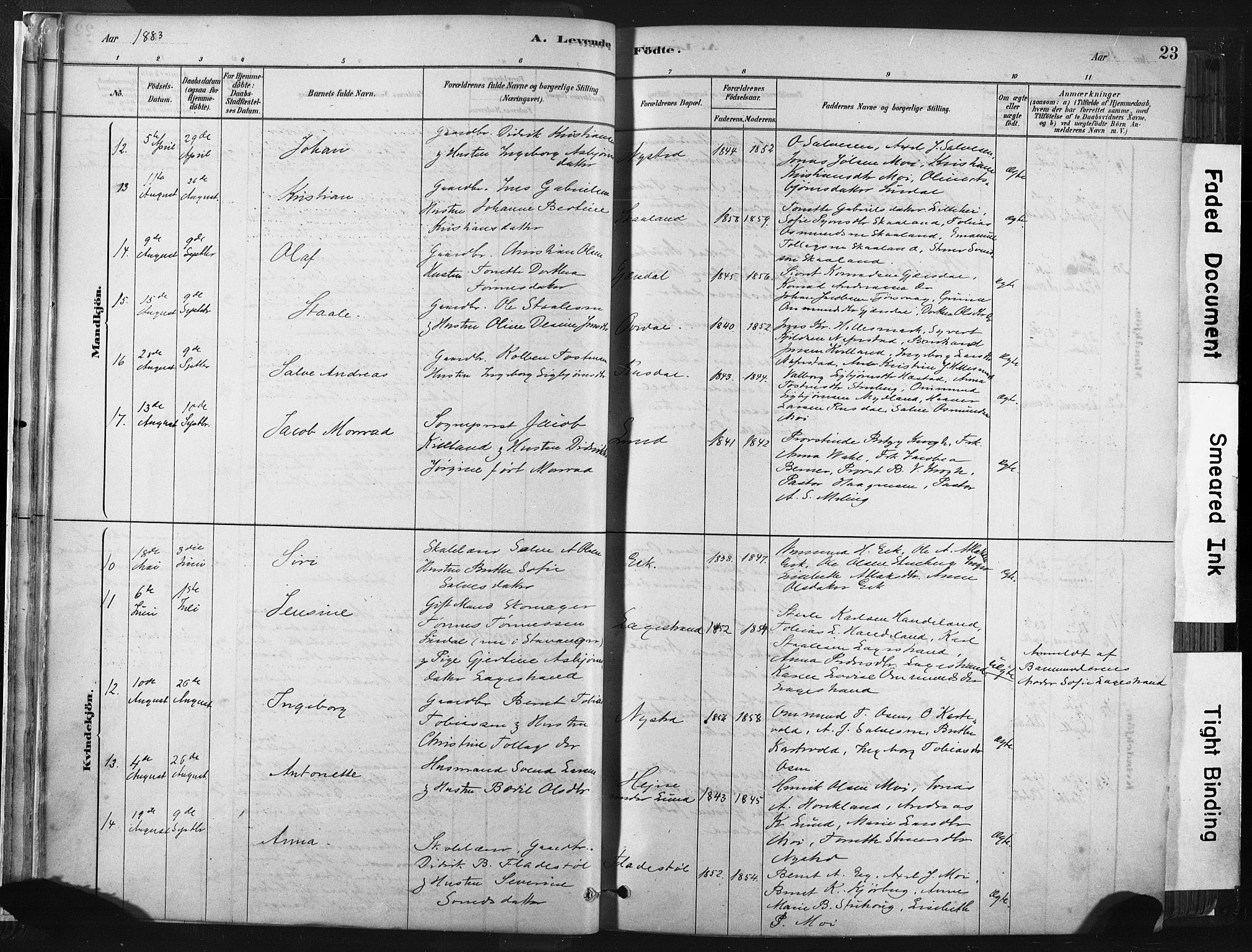 Lund sokneprestkontor, AV/SAST-A-101809/S06/L0011: Parish register (official) no. A 10, 1877-1904, p. 23