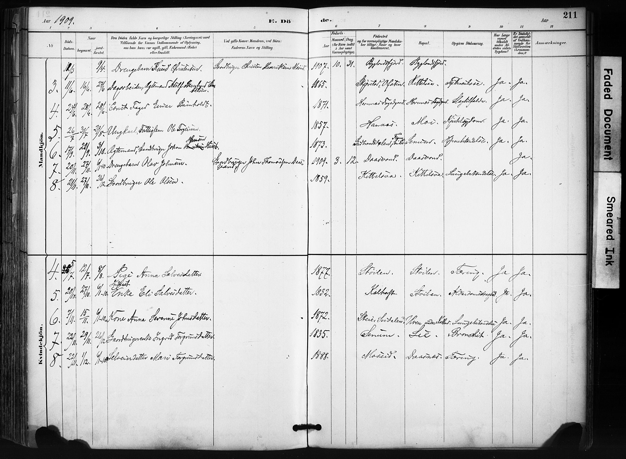 Evje sokneprestkontor, SAK/1111-0008/F/Fa/Fab/L0003: Parish register (official) no. A 3, 1884-1909, p. 211