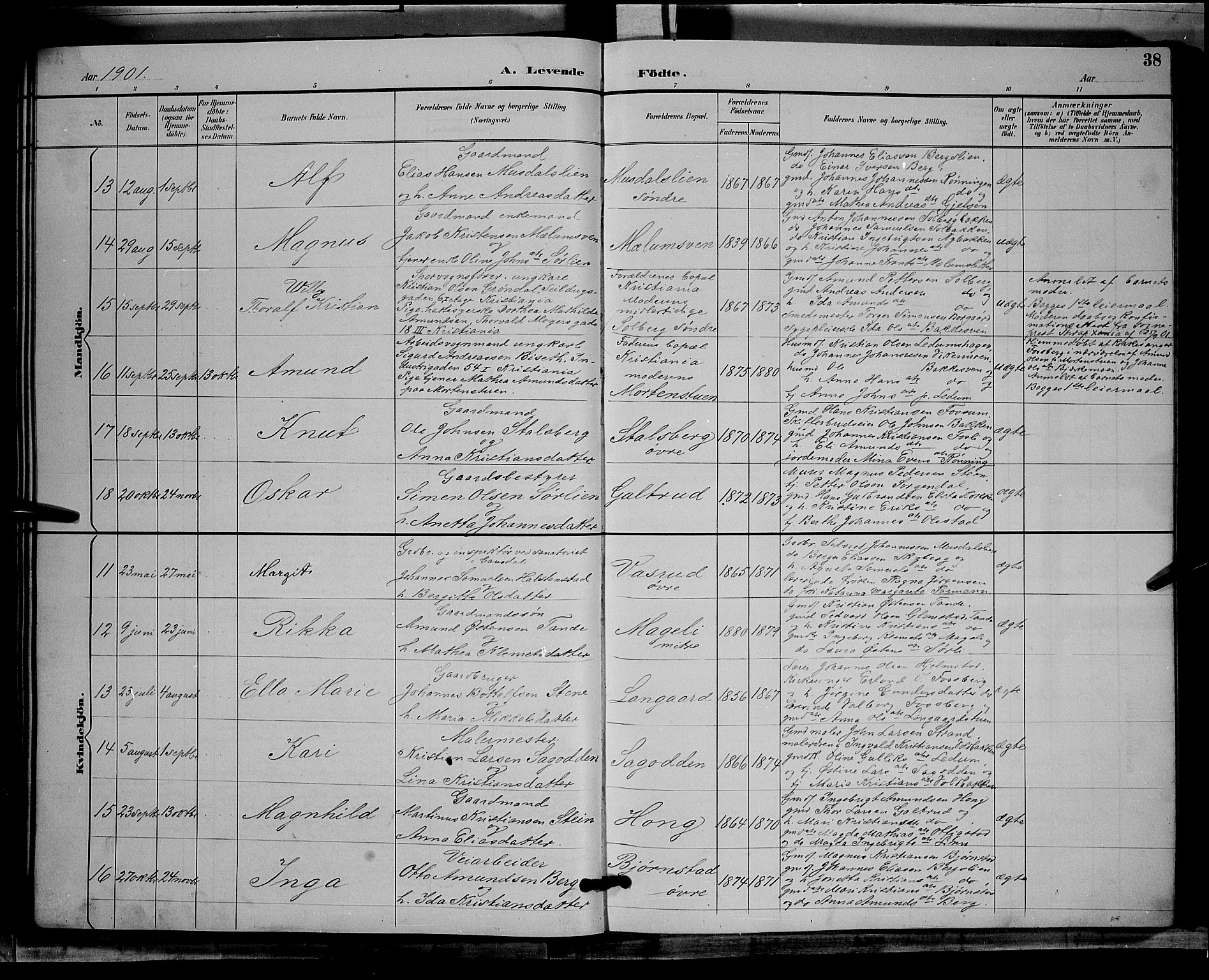 Øyer prestekontor, AV/SAH-PREST-084/H/Ha/Hab/L0004: Parish register (copy) no. 4, 1894-1905, p. 38