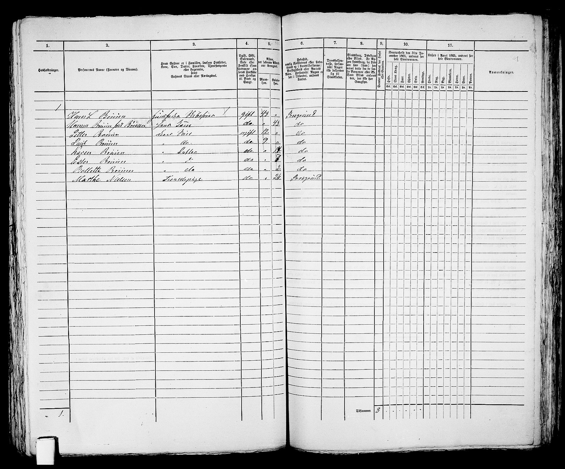 RA, 1865 census for Skien, 1865, p. 741