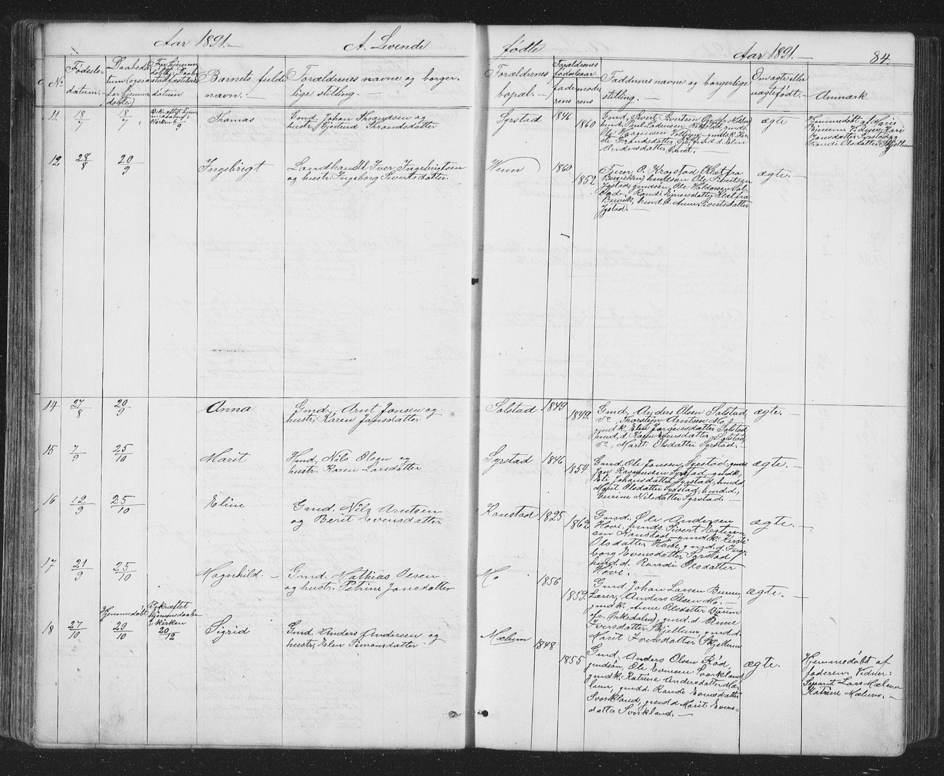 Ministerialprotokoller, klokkerbøker og fødselsregistre - Sør-Trøndelag, SAT/A-1456/667/L0798: Parish register (copy) no. 667C03, 1867-1929, p. 84