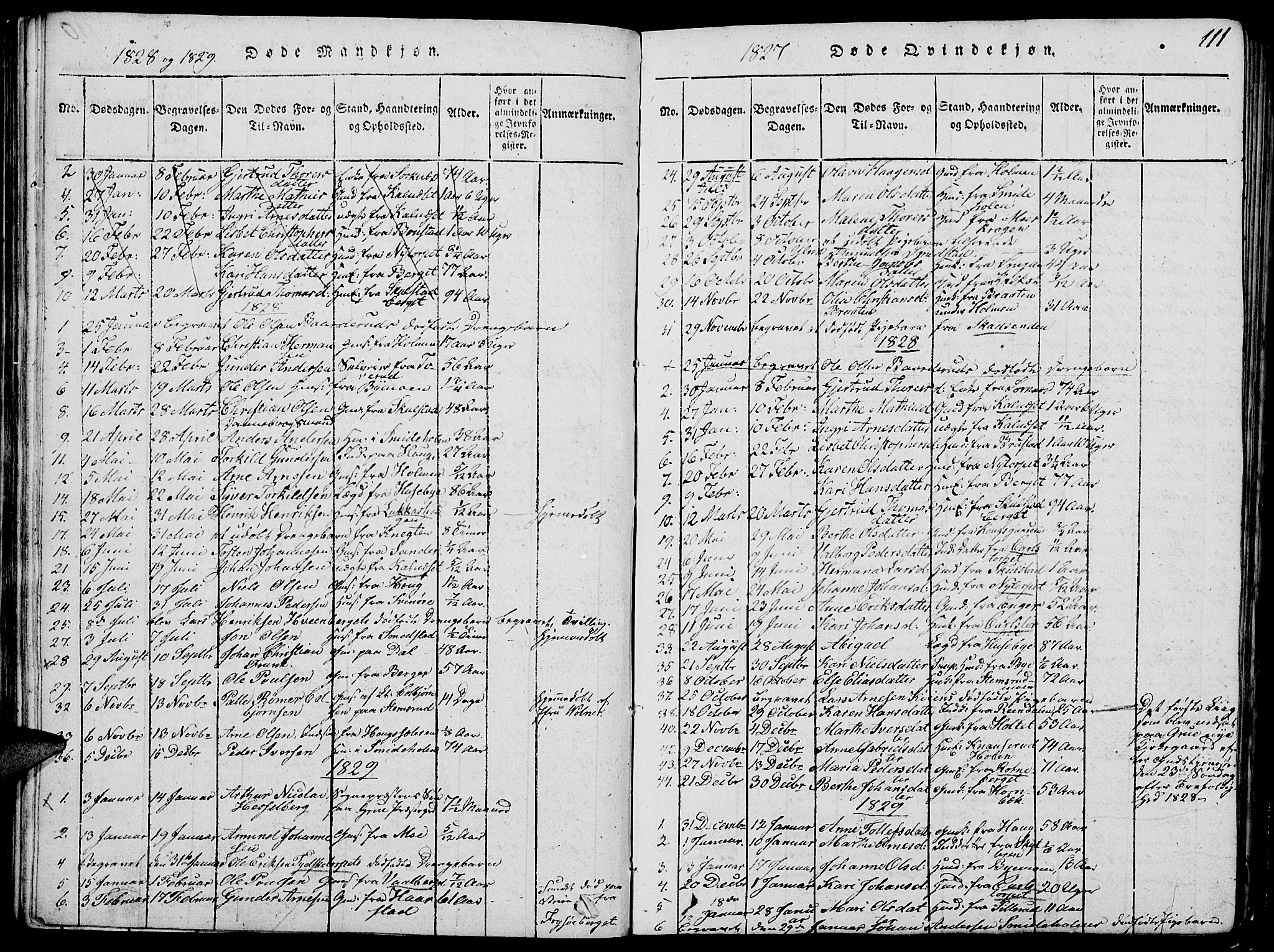 Grue prestekontor, SAH/PREST-036/H/Ha/Hab/L0002: Parish register (copy) no. 2, 1815-1841, p. 111