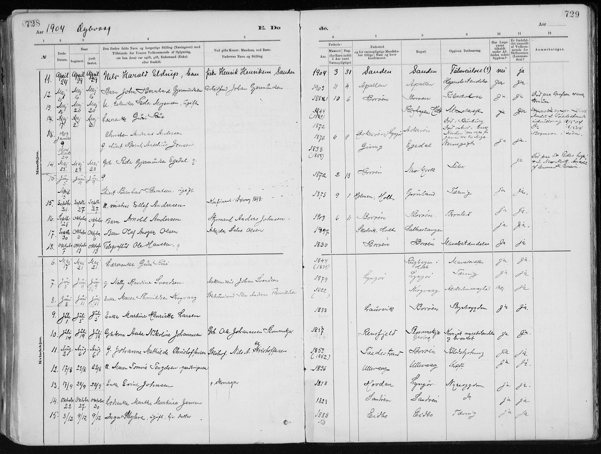 Dypvåg sokneprestkontor, AV/SAK-1111-0007/F/Fa/Faa/L0008: Parish register (official) no. A 8, 1885-1906, p. 728-729