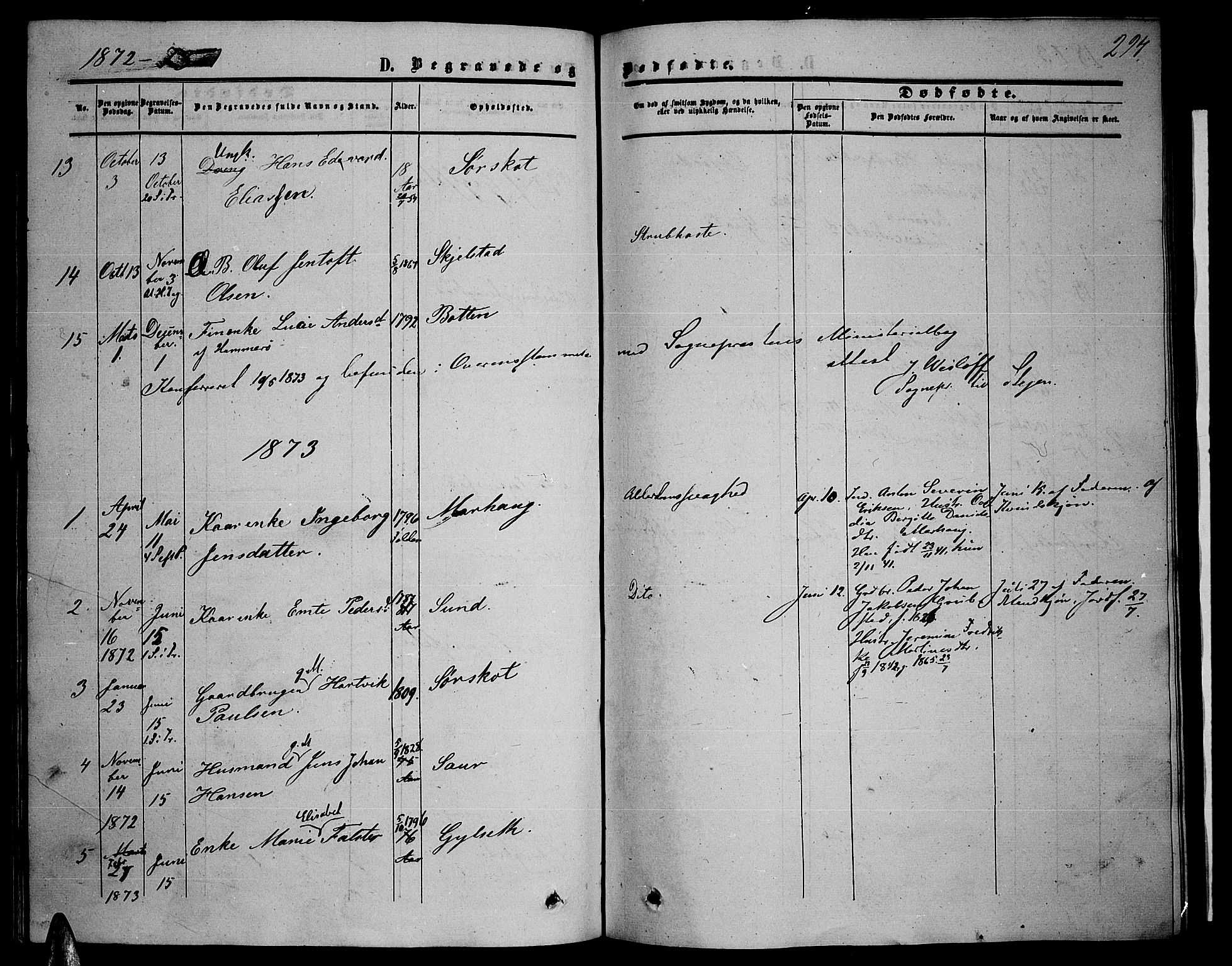 Ministerialprotokoller, klokkerbøker og fødselsregistre - Nordland, AV/SAT-A-1459/857/L0827: Parish register (copy) no. 857C02, 1852-1879, p. 294