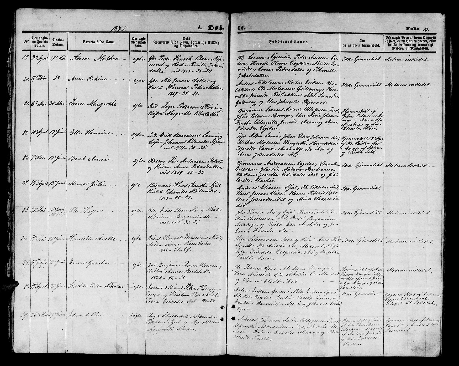 Ministerialprotokoller, klokkerbøker og fødselsregistre - Nordland, AV/SAT-A-1459/816/L0252: Parish register (copy) no. 816C02, 1871-1885, p. 19