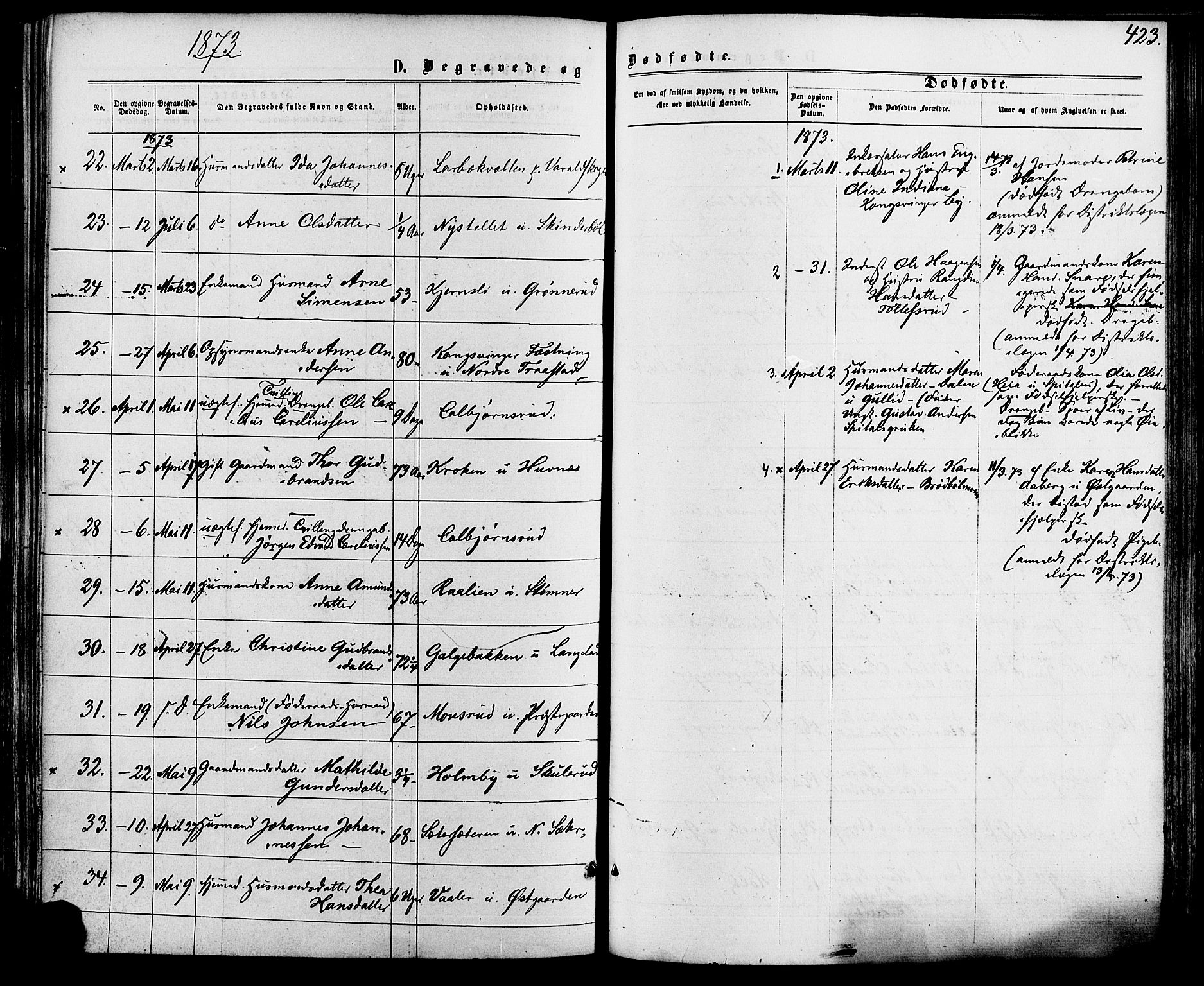 Vinger prestekontor, SAH/PREST-024/H/Ha/Haa/L0012: Parish register (official) no. 12, 1871-1880, p. 423