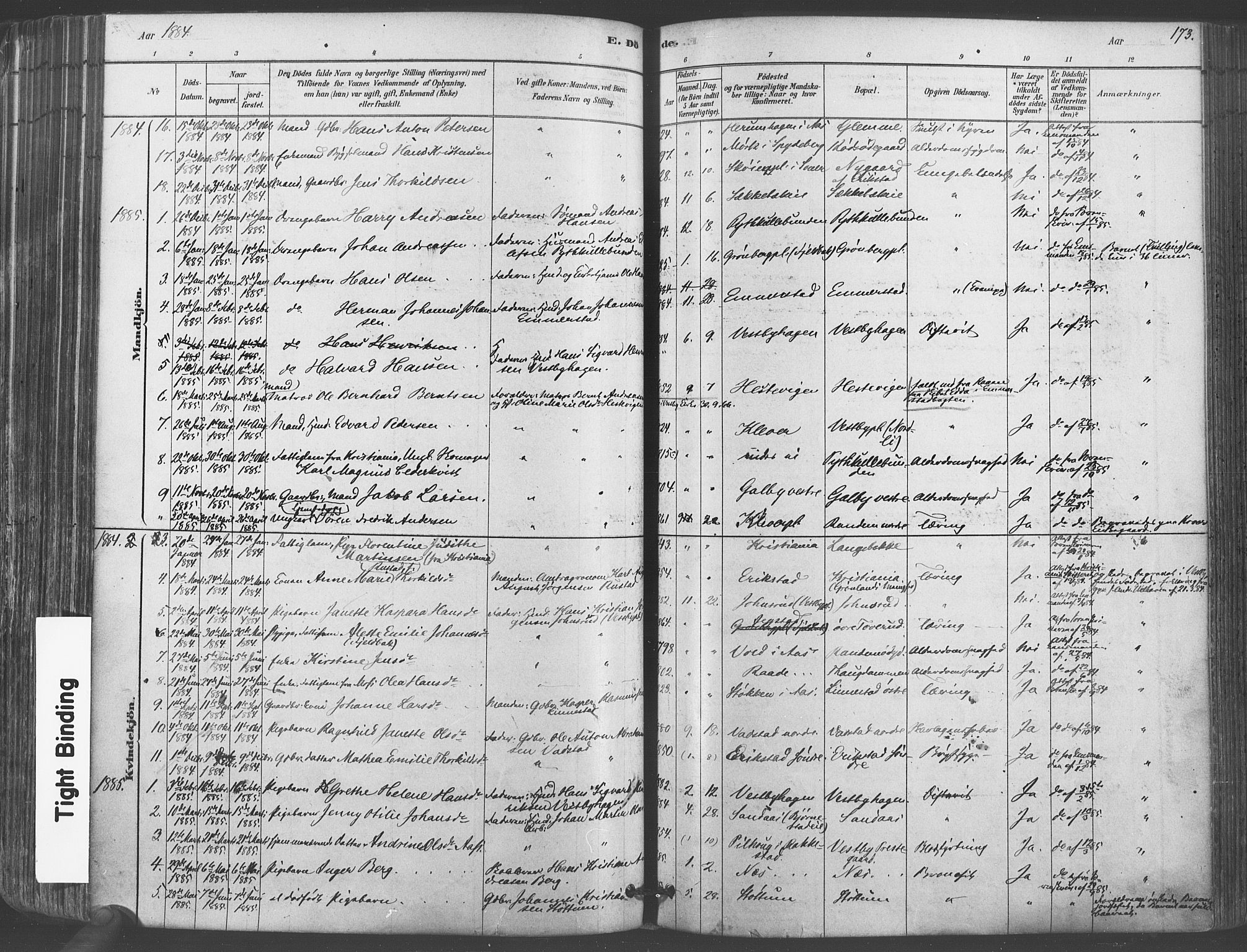 Vestby prestekontor Kirkebøker, AV/SAO-A-10893/F/Fa/L0009: Parish register (official) no. I 9, 1878-1900, p. 173