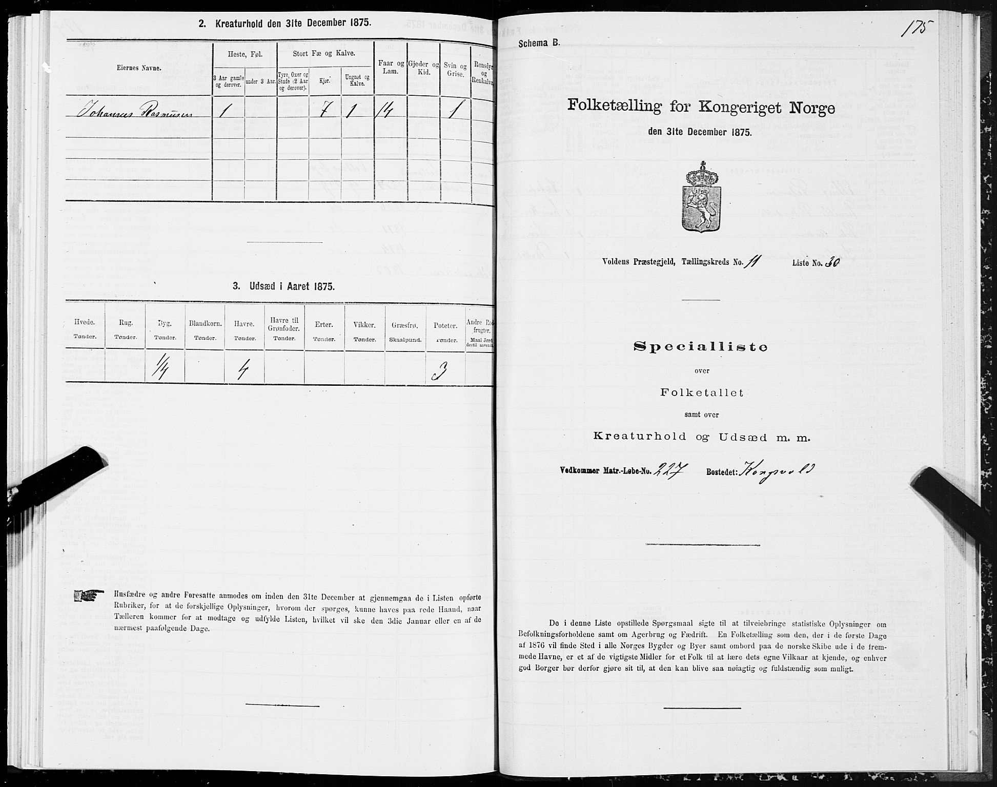 SAT, 1875 census for 1519P Volda, 1875, p. 6175