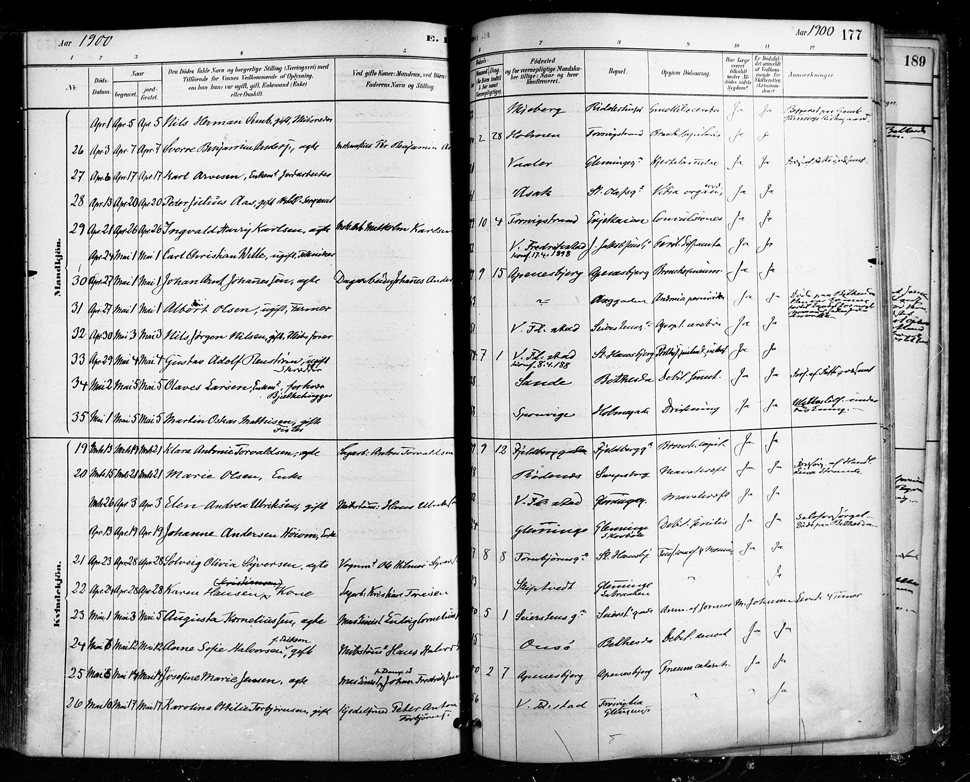 Fredrikstad domkirkes prestekontor Kirkebøker, SAO/A-10906/F/Fa/L0003: Parish register (official) no. 3, 1878-1904, p. 177