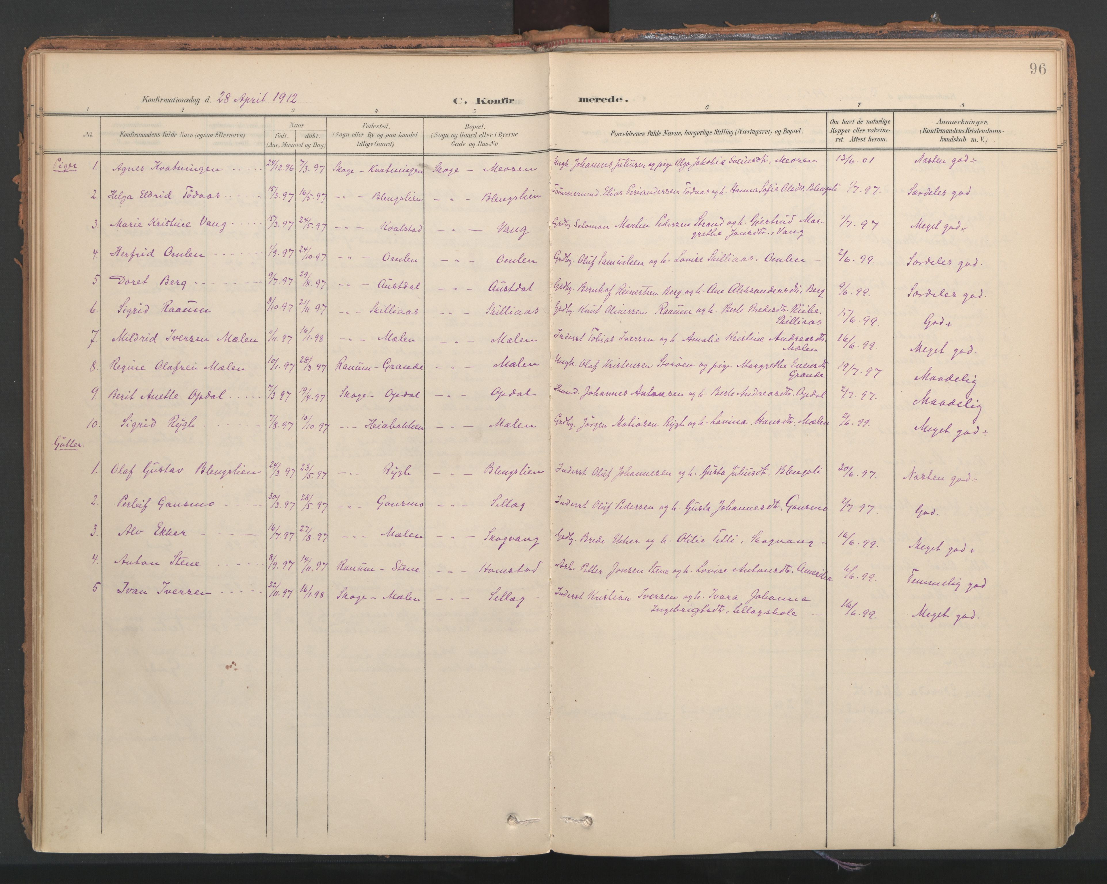 Ministerialprotokoller, klokkerbøker og fødselsregistre - Nord-Trøndelag, SAT/A-1458/766/L0564: Parish register (official) no. 767A02, 1900-1932, p. 96