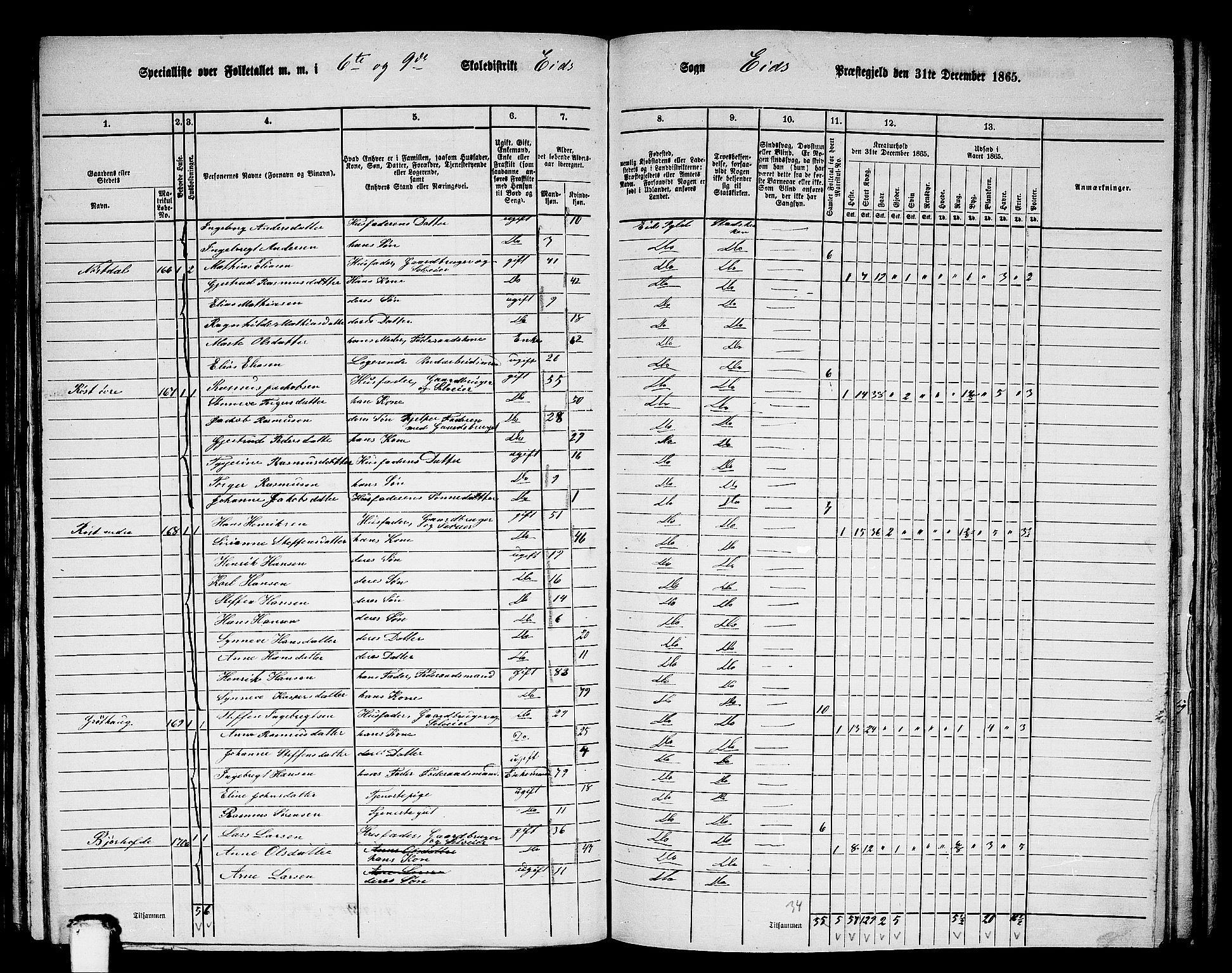 RA, 1865 census for Eid, 1865, p. 133