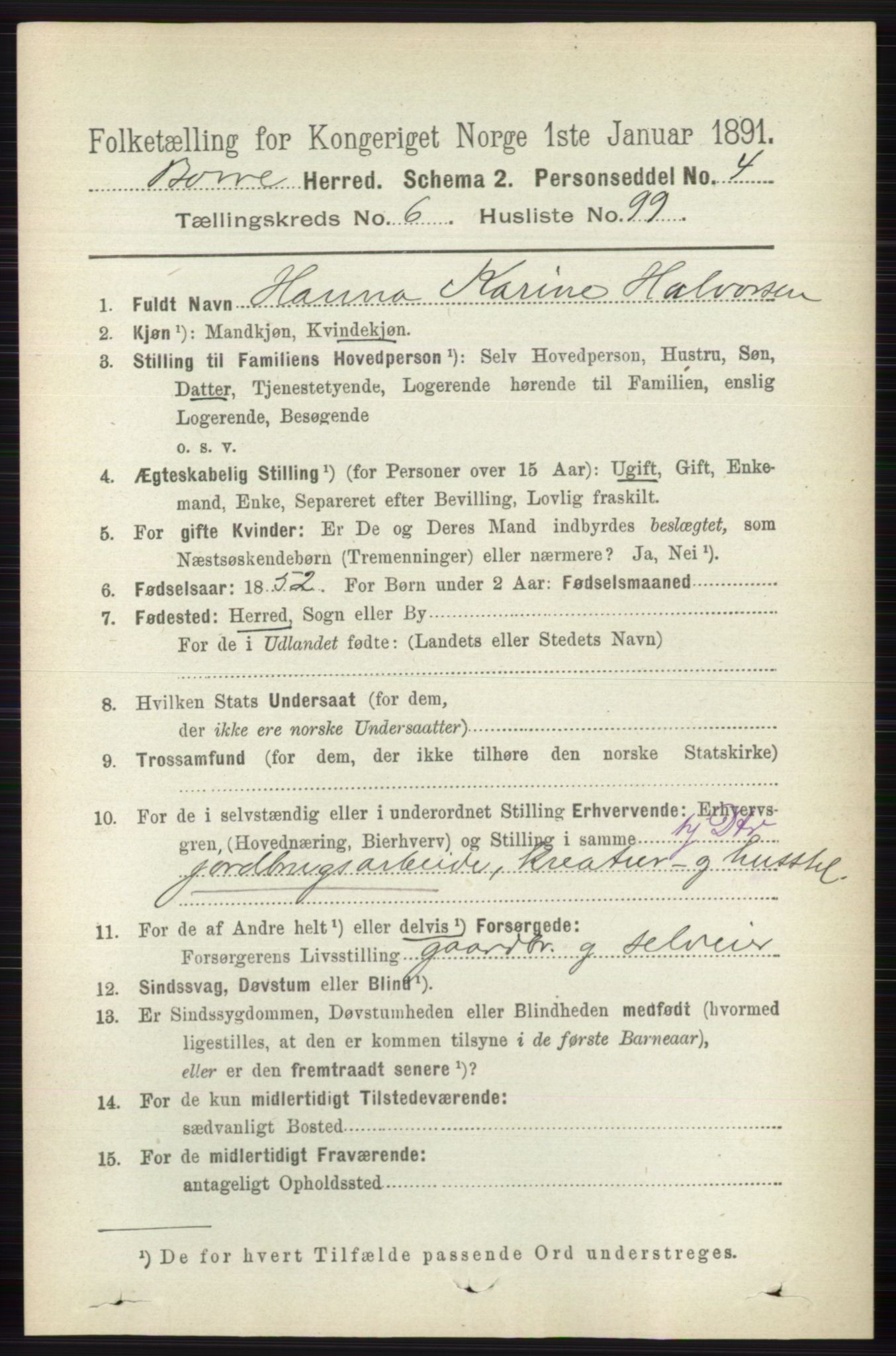 RA, 1891 census for 0717 Borre, 1891, p. 3127