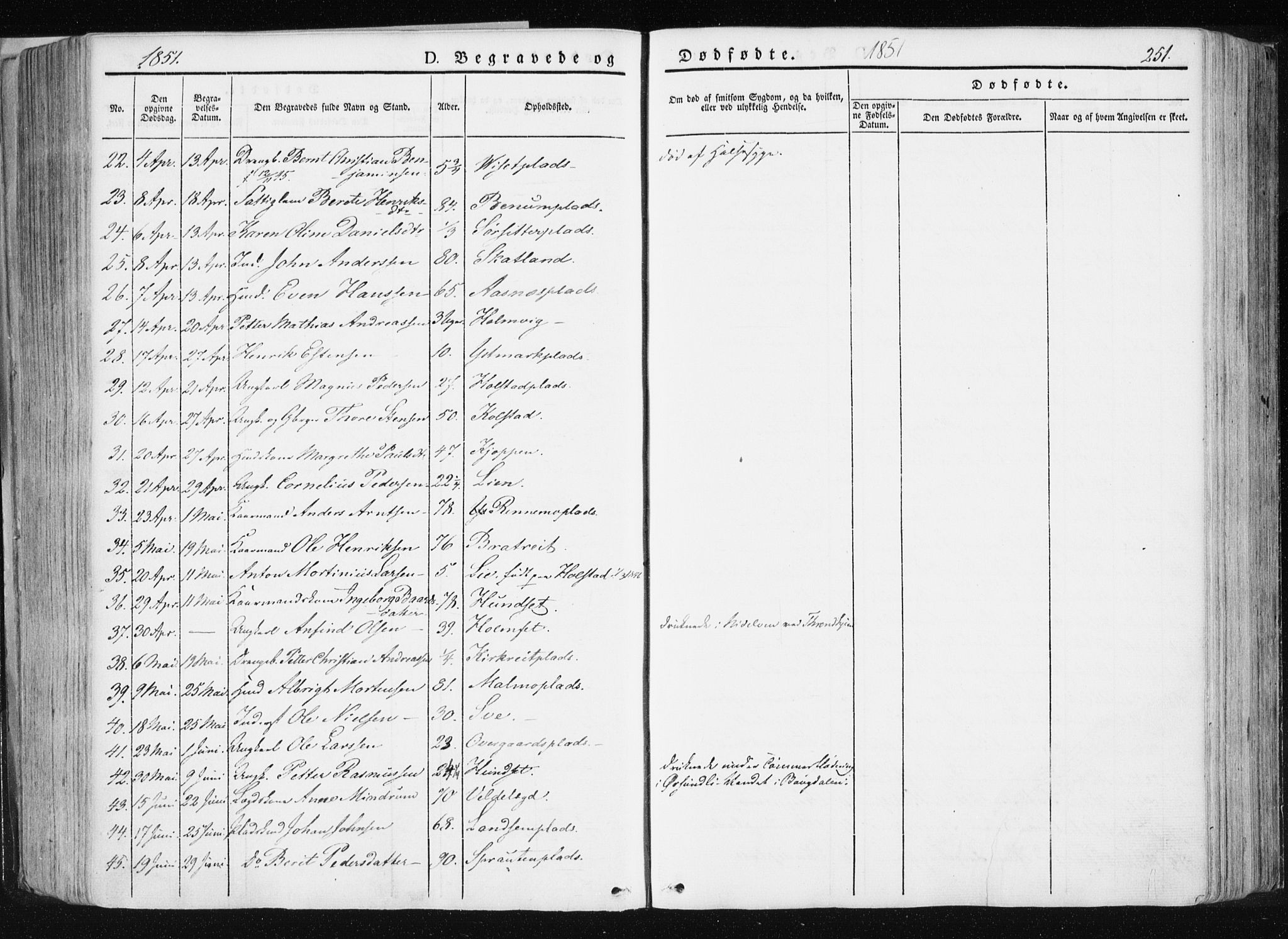 Ministerialprotokoller, klokkerbøker og fødselsregistre - Nord-Trøndelag, AV/SAT-A-1458/741/L0393: Parish register (official) no. 741A07, 1849-1863, p. 251