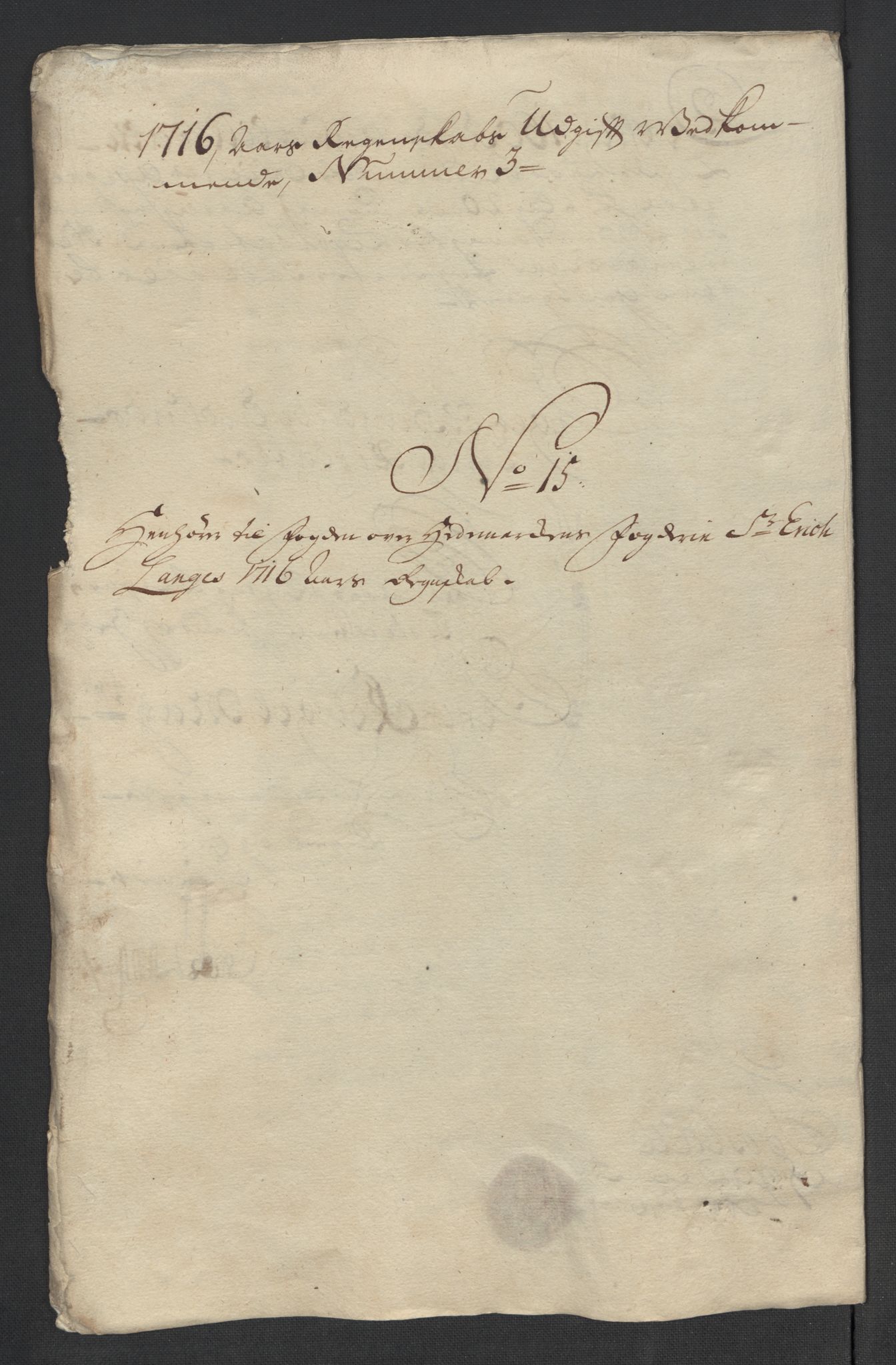 Rentekammeret inntil 1814, Reviderte regnskaper, Fogderegnskap, RA/EA-4092/R16/L1055: Fogderegnskap Hedmark, 1716, p. 300