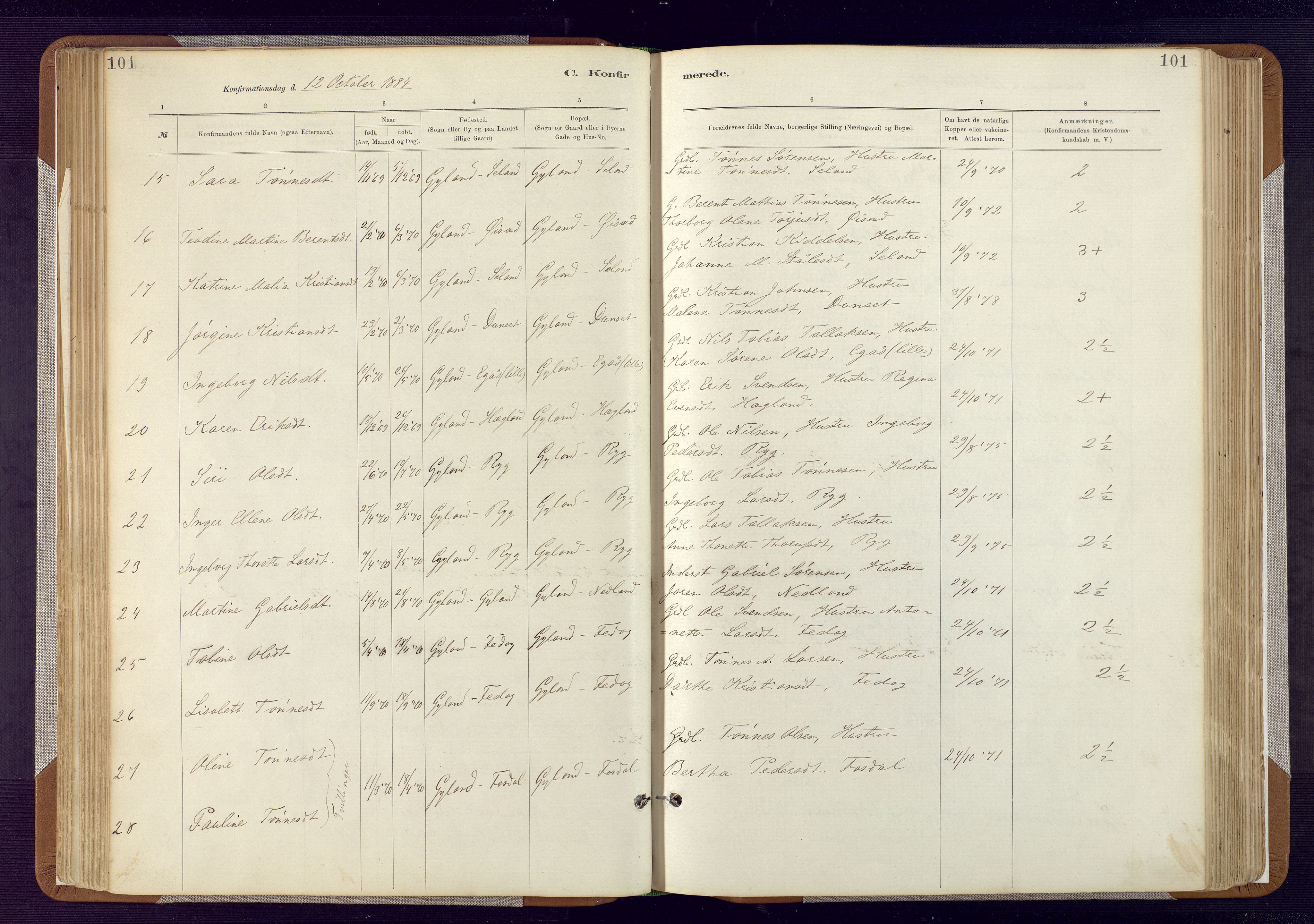 Bakke sokneprestkontor, AV/SAK-1111-0002/F/Fa/Fab/L0003: Parish register (official) no. A 3, 1884-1921, p. 101