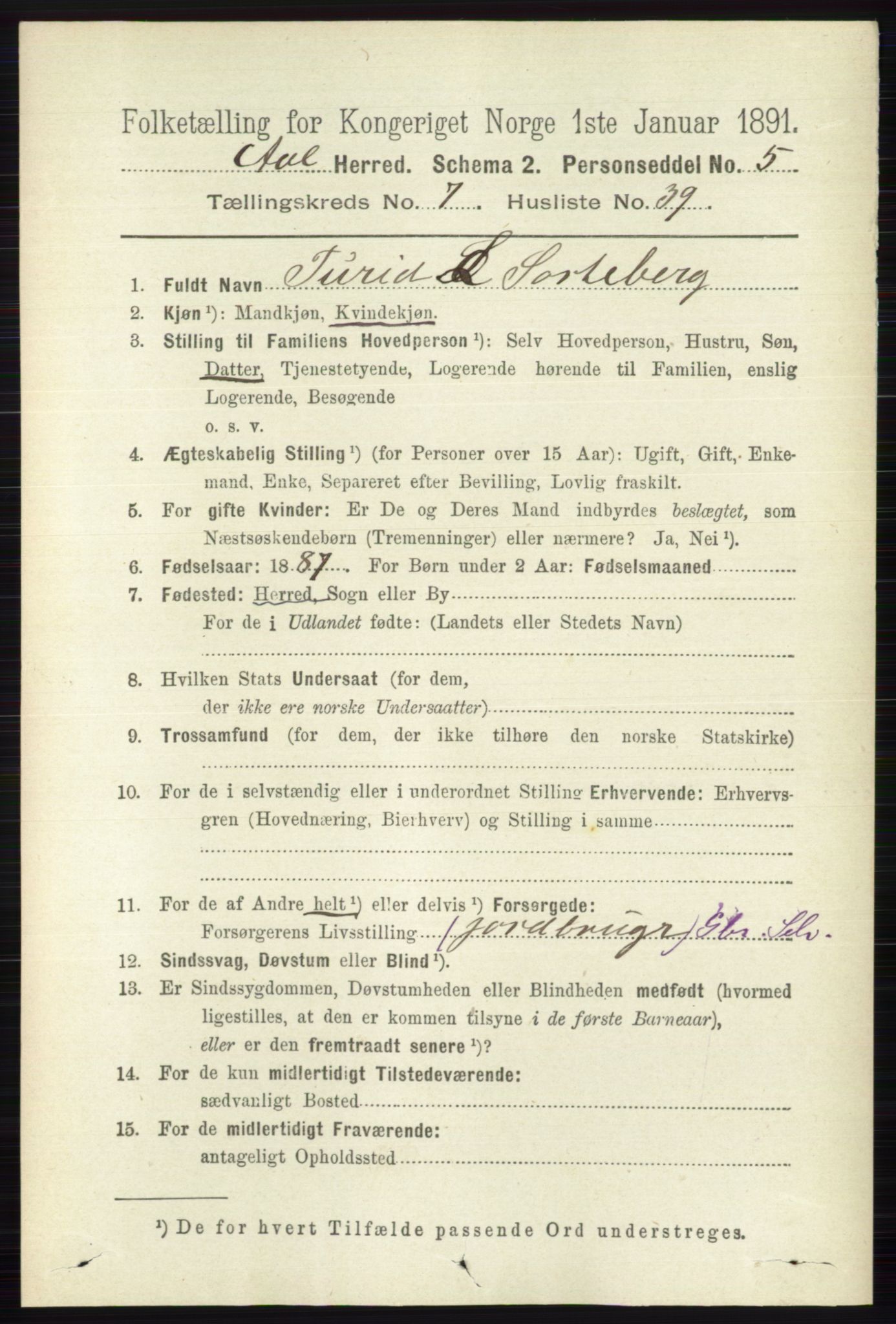 RA, 1891 census for 0619 Ål, 1891, p. 2000