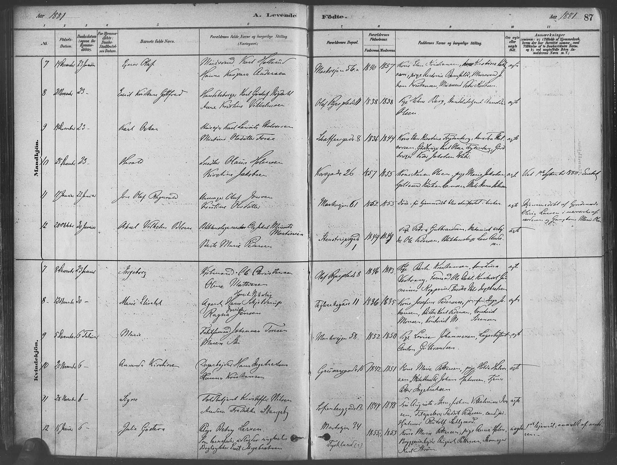 Paulus prestekontor Kirkebøker, AV/SAO-A-10871/F/Fa/L0003: Parish register (official) no. 3, 1879-1887, p. 87