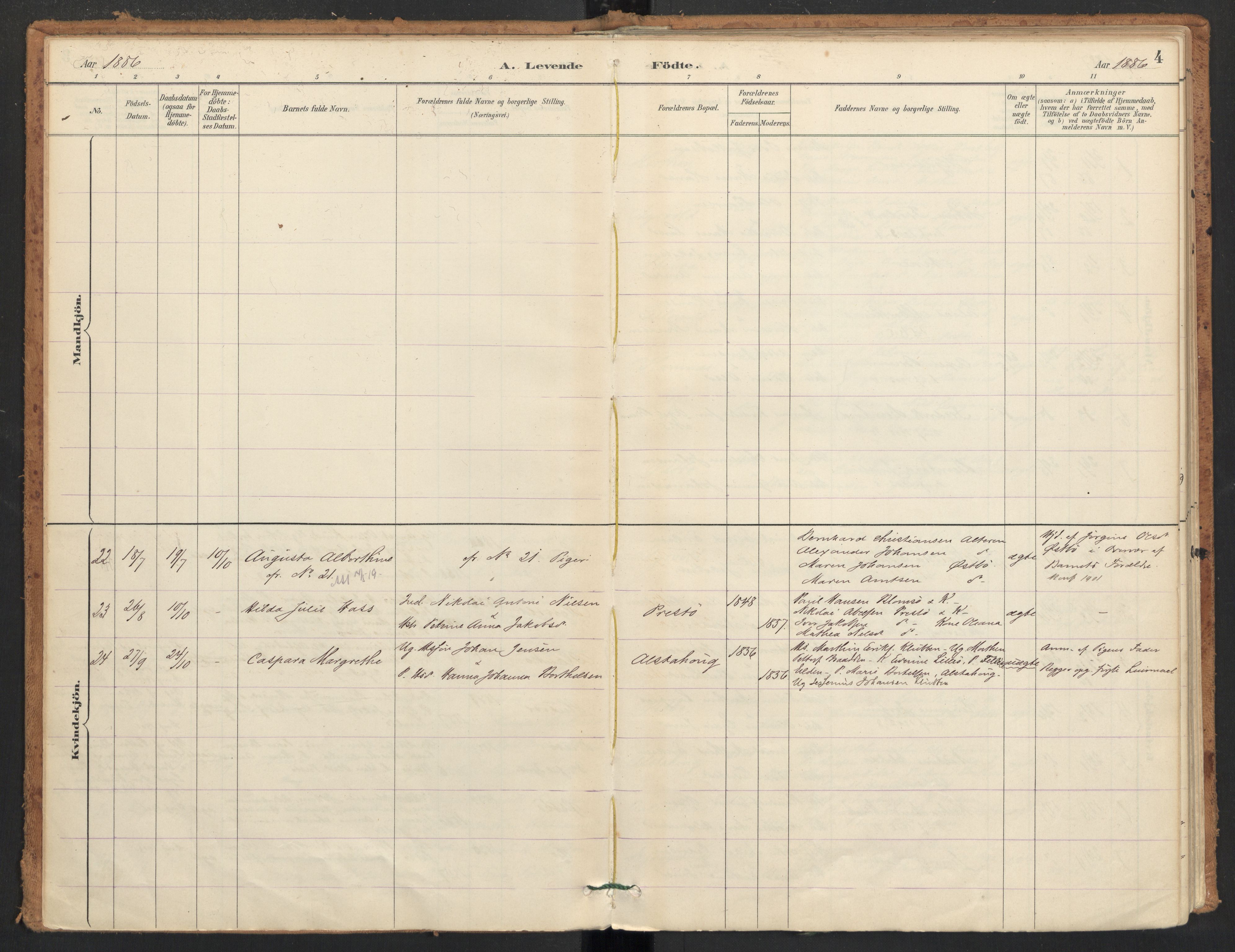 Ministerialprotokoller, klokkerbøker og fødselsregistre - Nordland, AV/SAT-A-1459/830/L0453: Parish register (official) no. 830A17, 1886-1911, p. 4