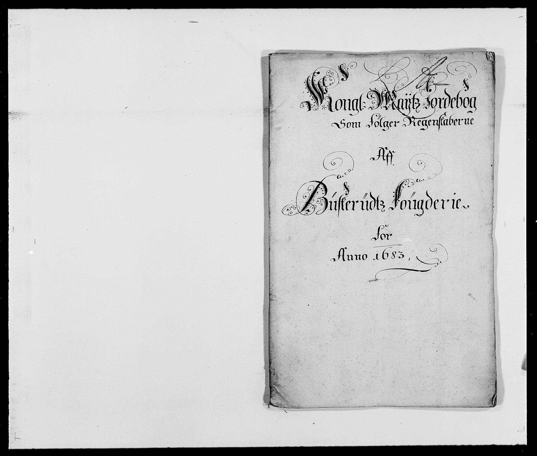 Rentekammeret inntil 1814, Reviderte regnskaper, Fogderegnskap, RA/EA-4092/R25/L1677: Fogderegnskap Buskerud, 1683-1684, p. 1