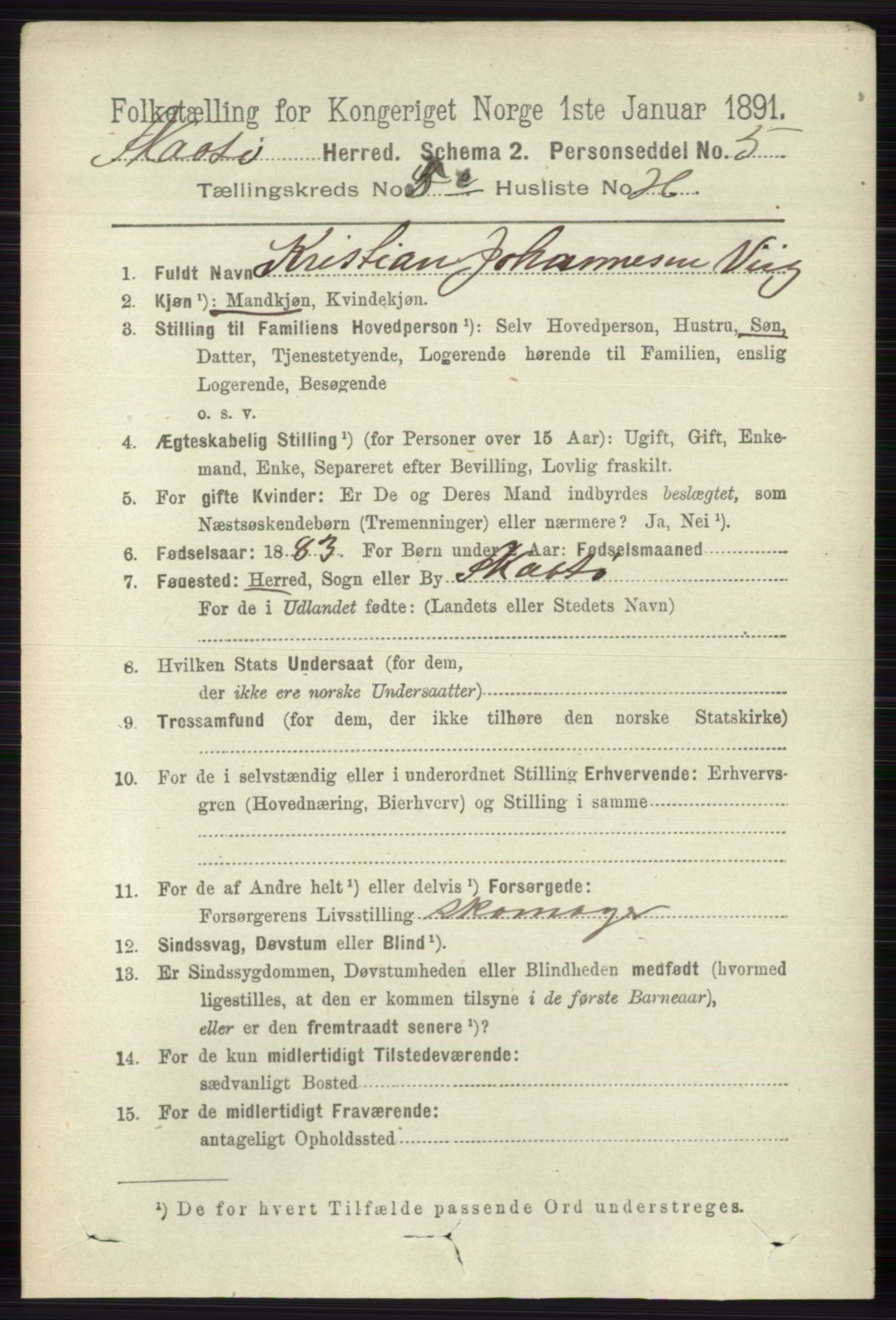 RA, 1891 census for 0815 Skåtøy, 1891, p. 2876