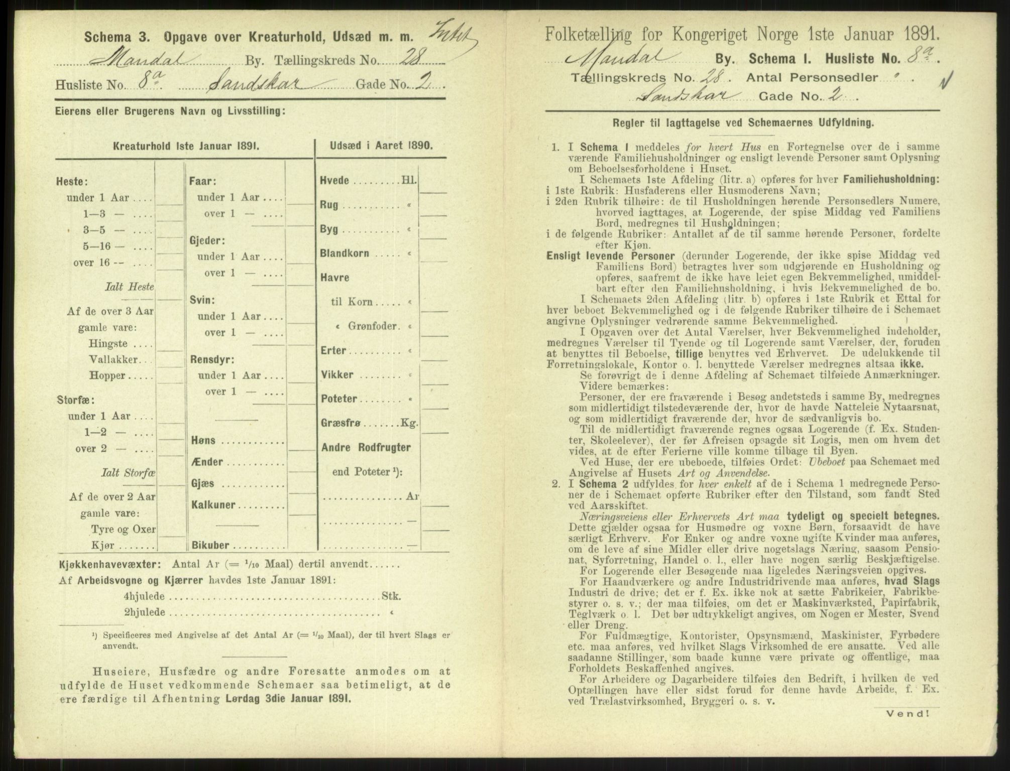 RA, 1891 census for 1002 Mandal, 1891, p. 1261