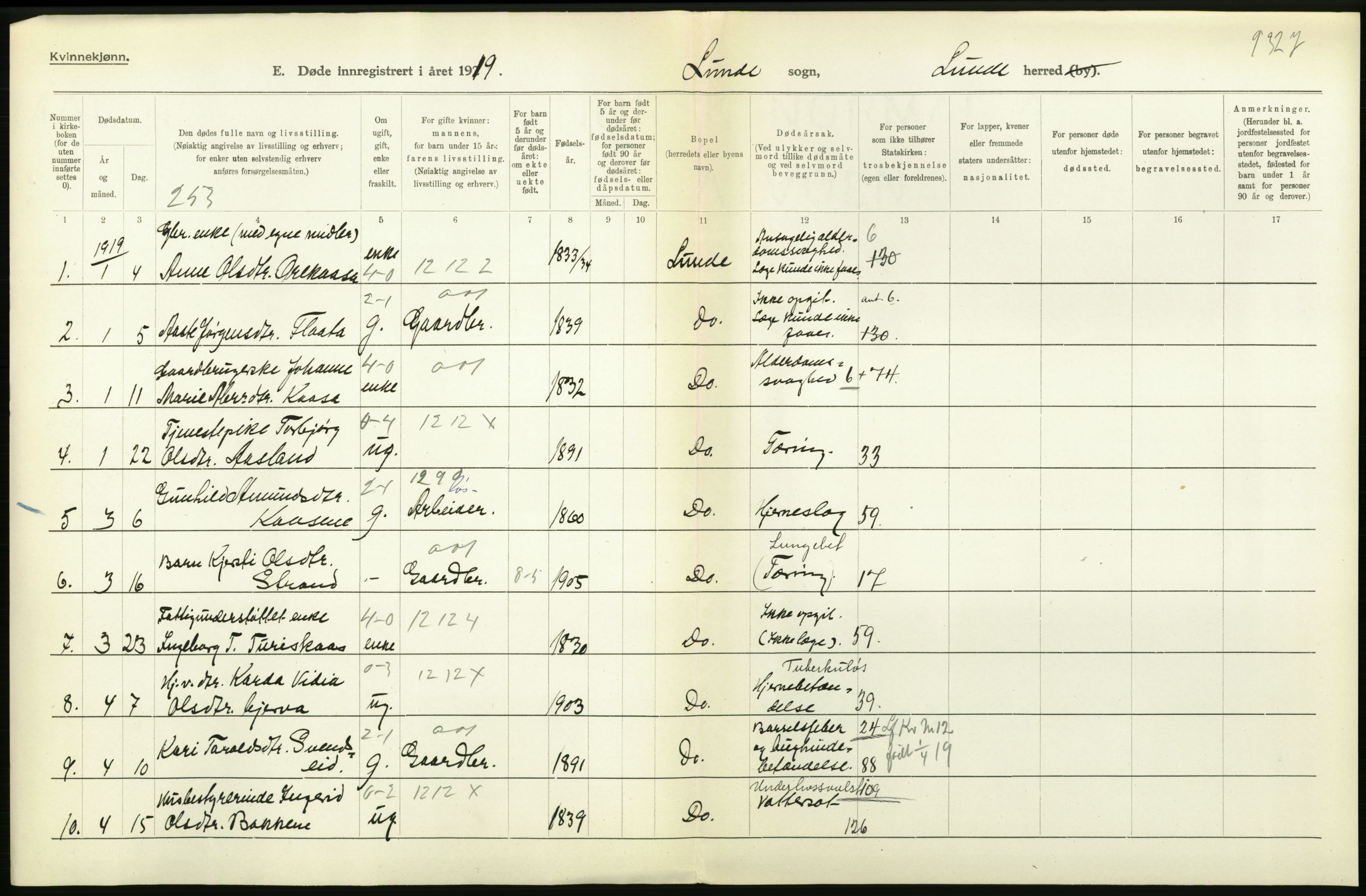 Statistisk sentralbyrå, Sosiodemografiske emner, Befolkning, AV/RA-S-2228/D/Df/Dfb/Dfbi/L0023: Telemark fylke: Døde. Bygder og byer., 1919, p. 256