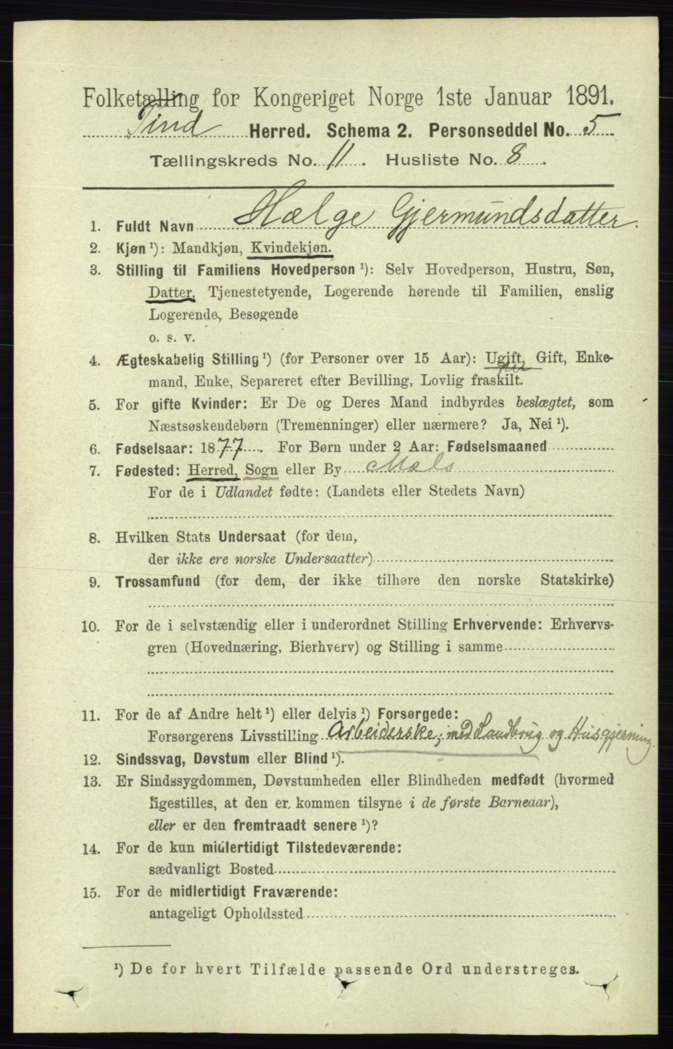 RA, 1891 census for 0826 Tinn, 1891, p. 2166