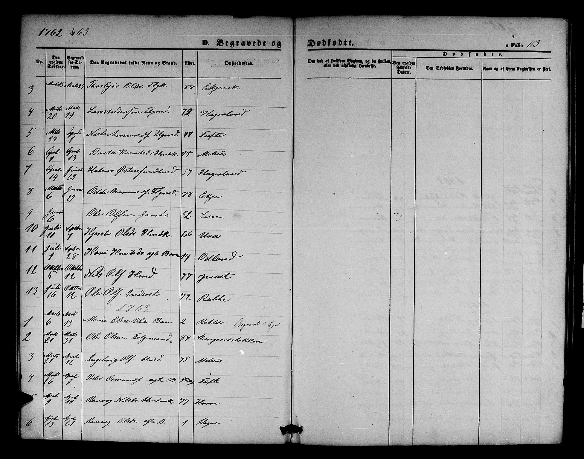 Røldal sokneprestembete, SAB/A-100247: Parish register (copy) no. A 2, 1861-1886, p. 113