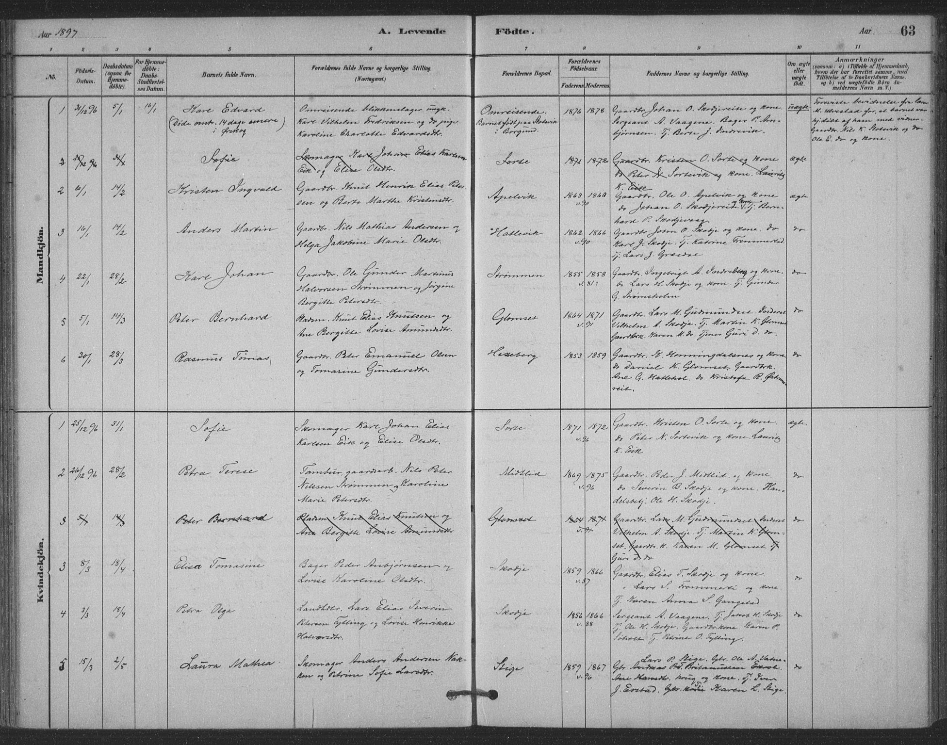 Ministerialprotokoller, klokkerbøker og fødselsregistre - Møre og Romsdal, AV/SAT-A-1454/524/L0356: Parish register (official) no. 524A08, 1880-1899, p. 63