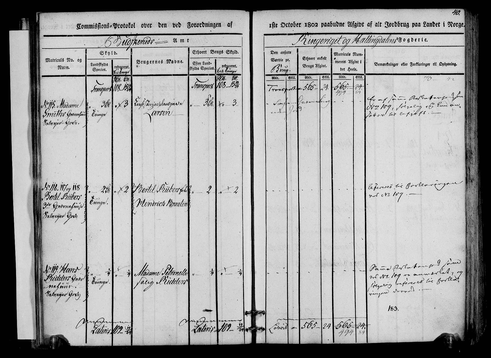 Rentekammeret inntil 1814, Realistisk ordnet avdeling, AV/RA-EA-4070/N/Ne/Nea/L0045: Ringerike og Hallingdal fogderi. Kommisjonsprotokoll for Norderhov prestegjeld, 1803, p. 43