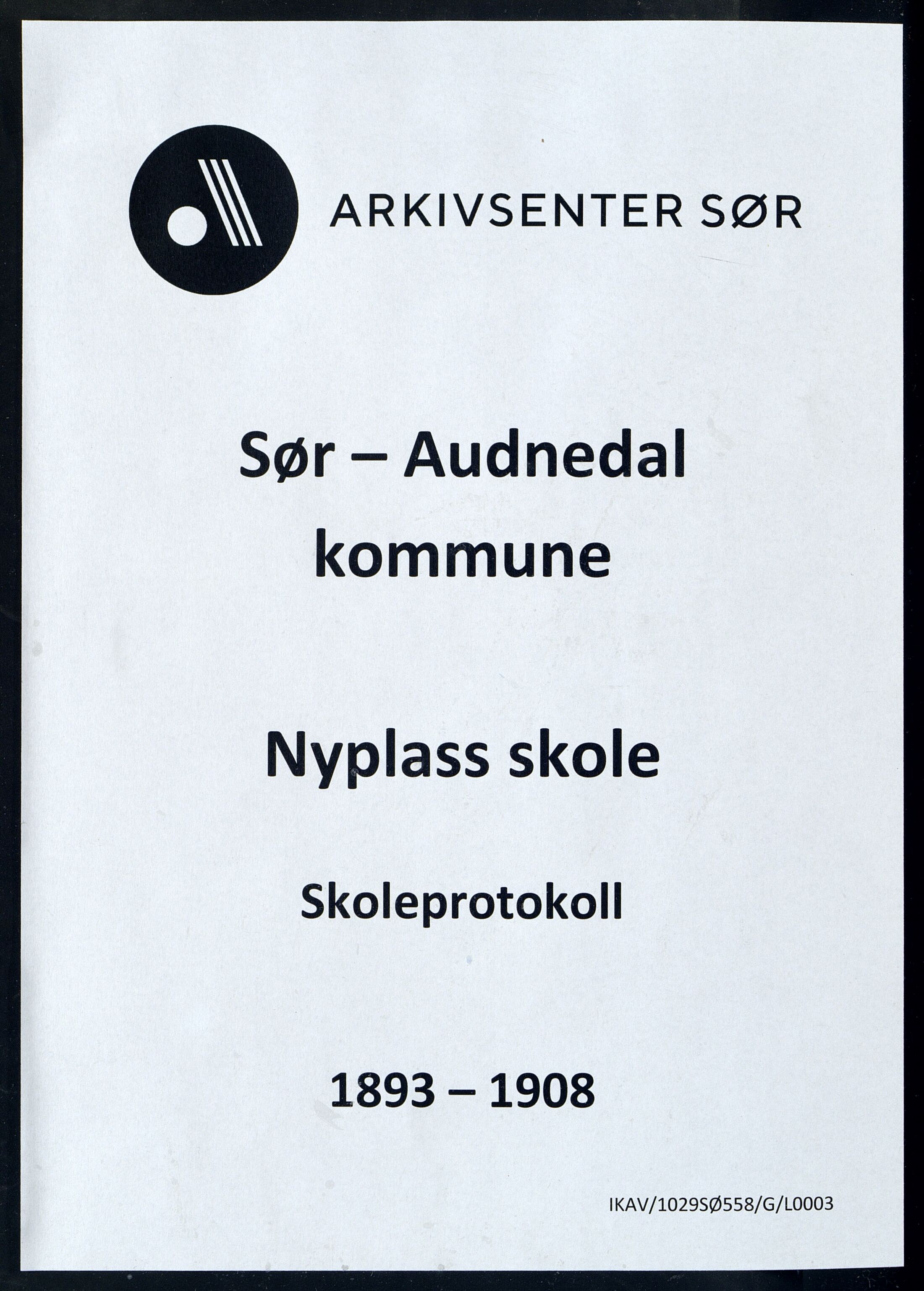 Sør-Audnedal kommune - Nyplass Skole, ARKSOR/1029SØ558/G/L0003: Skoleprotokoll, 1893-1908