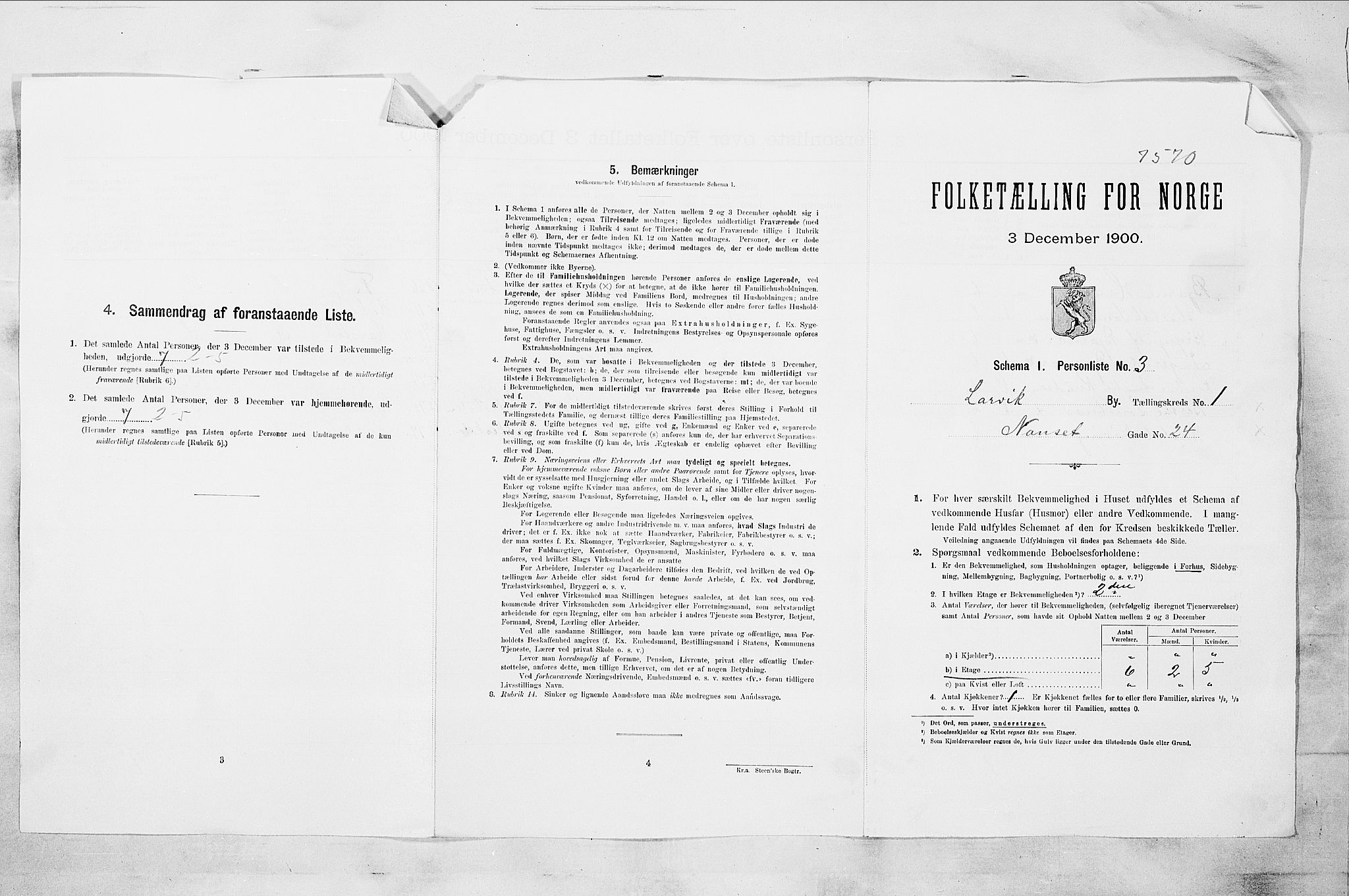 RA, 1900 census for Larvik, 1900, p. 102