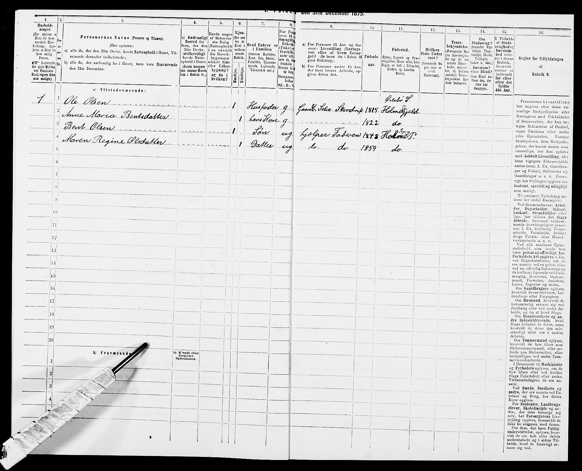 SAK, 1875 census for 1020P Holum, 1875, p. 455