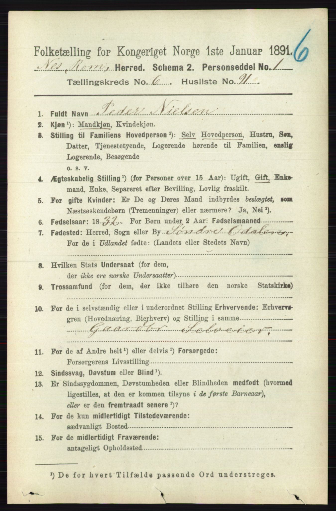 RA, 1891 census for 0236 Nes, 1891, p. 3935