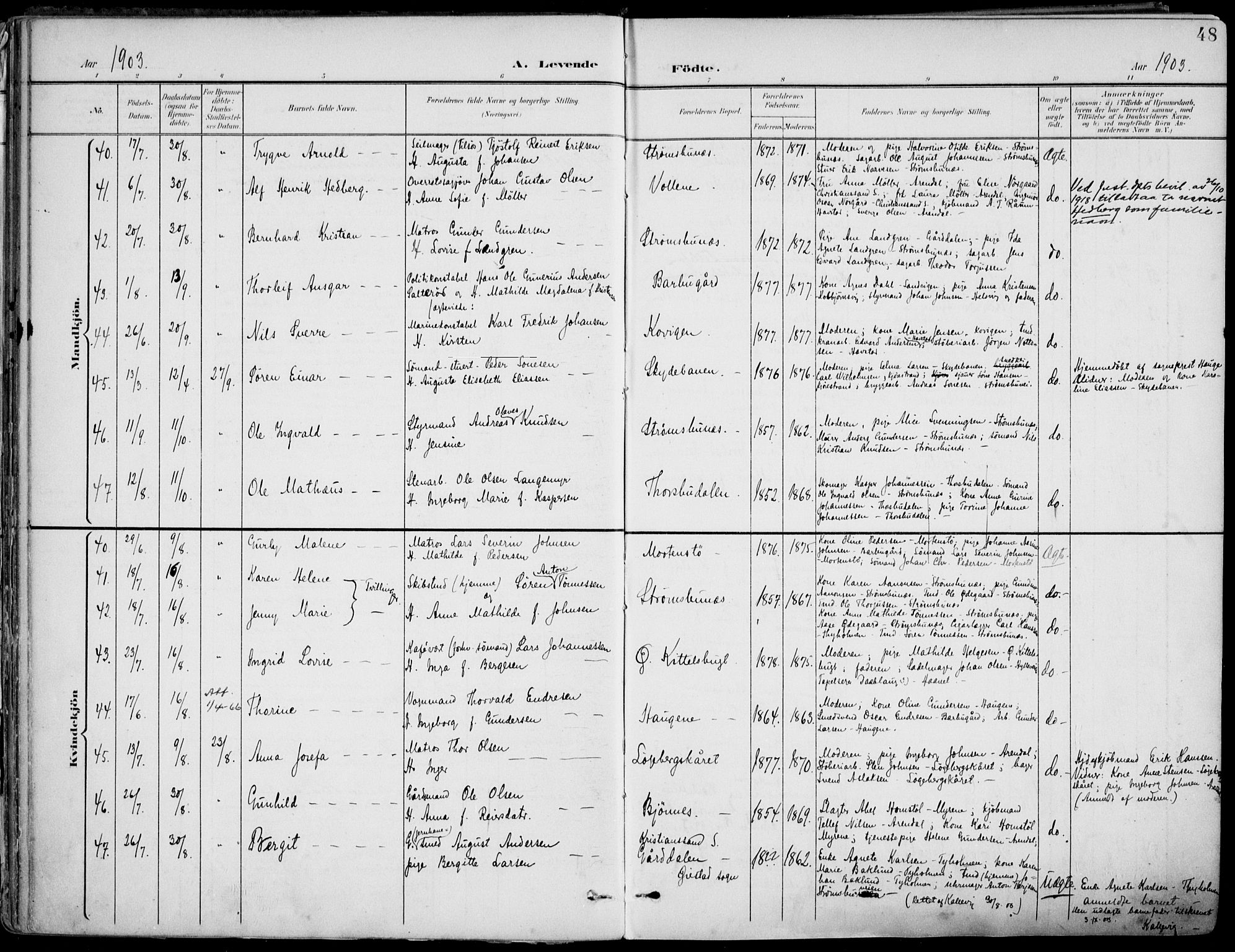 Barbu sokneprestkontor, AV/SAK-1111-0003/F/Fa/L0005: Parish register (official) no. A 5, 1899-1909, p. 48