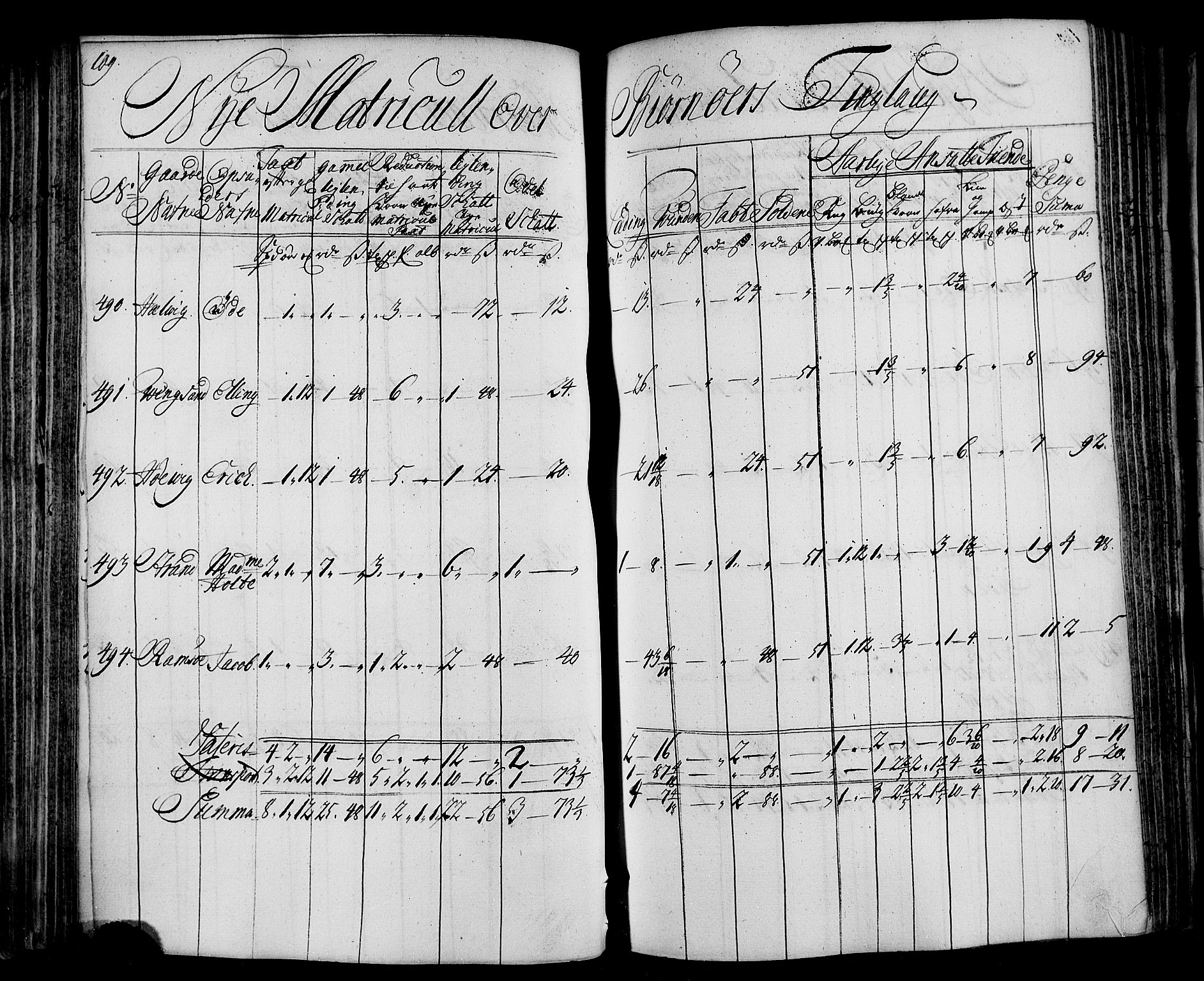 Rentekammeret inntil 1814, Realistisk ordnet avdeling, RA/EA-4070/N/Nb/Nbf/L0163: Fosen matrikkelprotokoll, 1723, p. 110