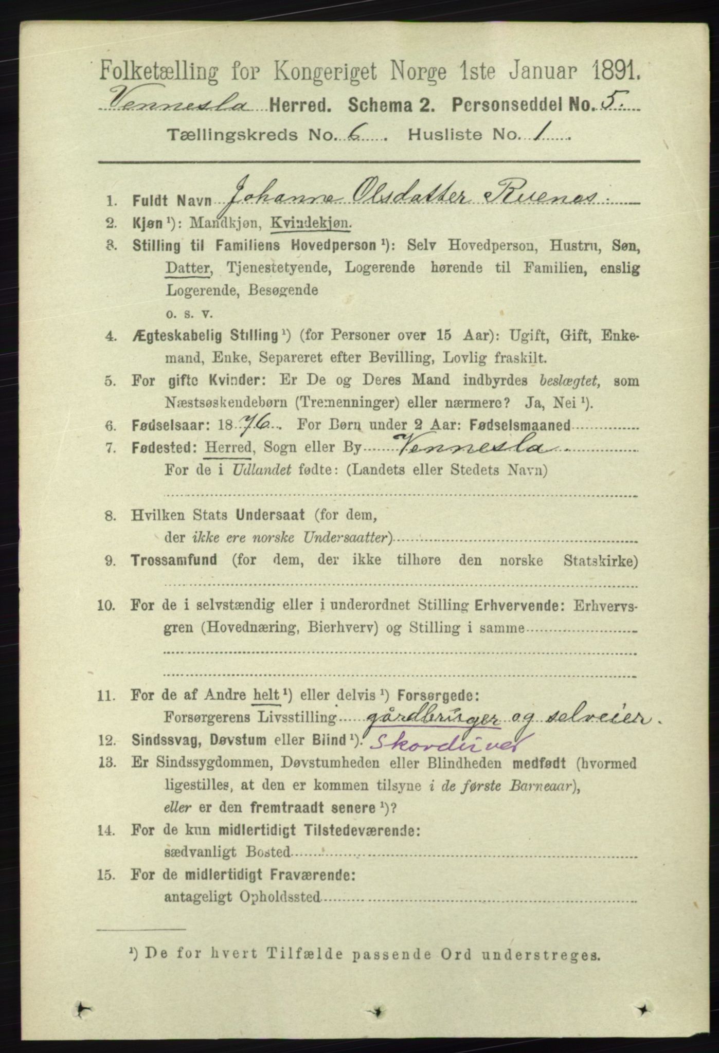 RA, 1891 census for 1014 Vennesla, 1891, p. 1597