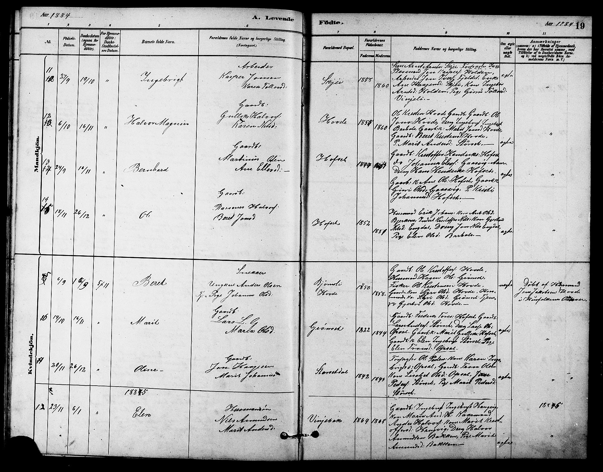 Ministerialprotokoller, klokkerbøker og fødselsregistre - Sør-Trøndelag, SAT/A-1456/631/L0514: Parish register (copy) no. 631C02, 1879-1912, p. 19