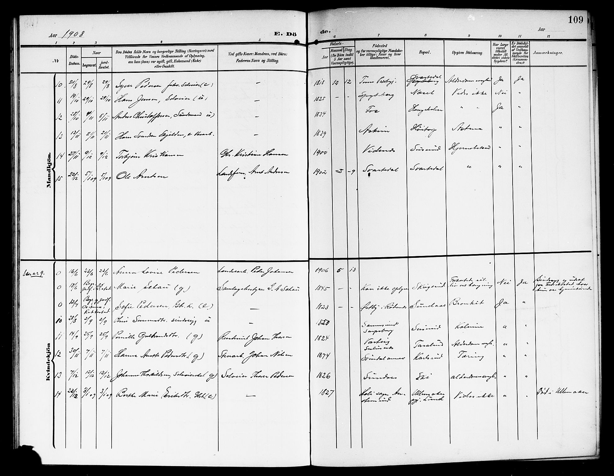 Skiptvet prestekontor Kirkebøker, SAO/A-20009/G/Ga/L0002: Parish register (copy) no. 2, 1905-1915, p. 109