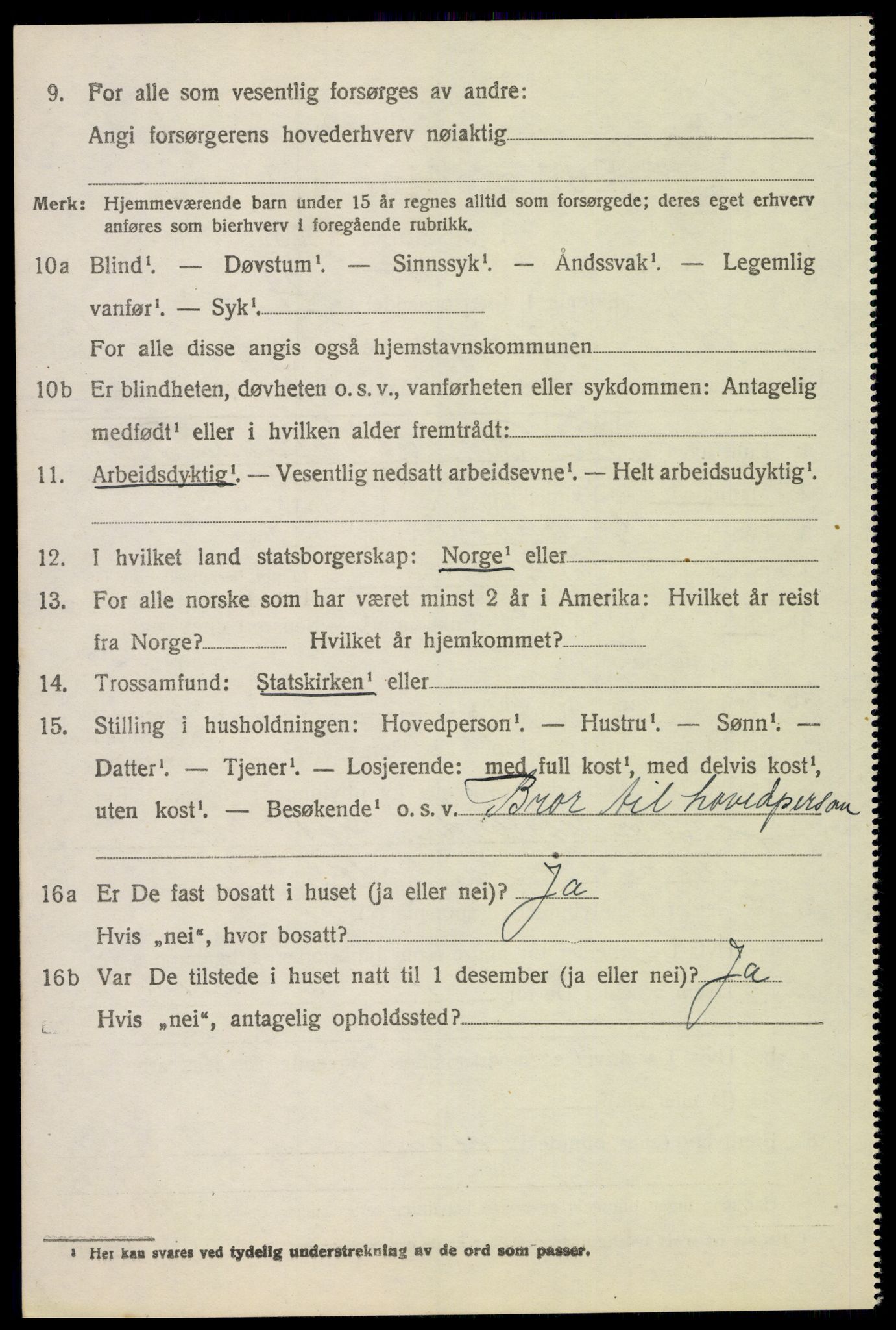 SAH, 1920 census for Sør-Odal, 1920, p. 12204