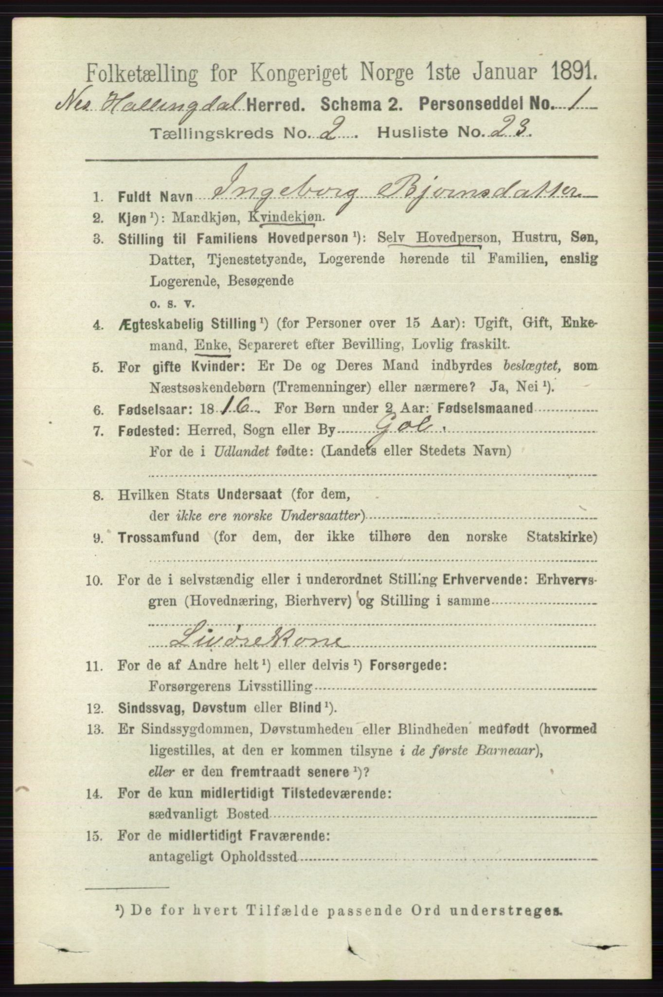 RA, 1891 census for 0616 Nes, 1891, p. 1106