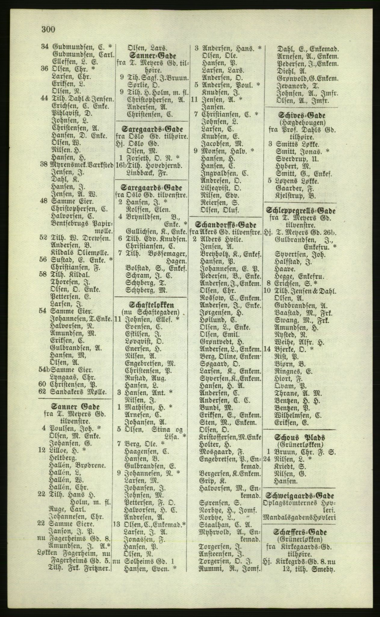 Kristiania/Oslo adressebok, PUBL/-, 1881, p. 300