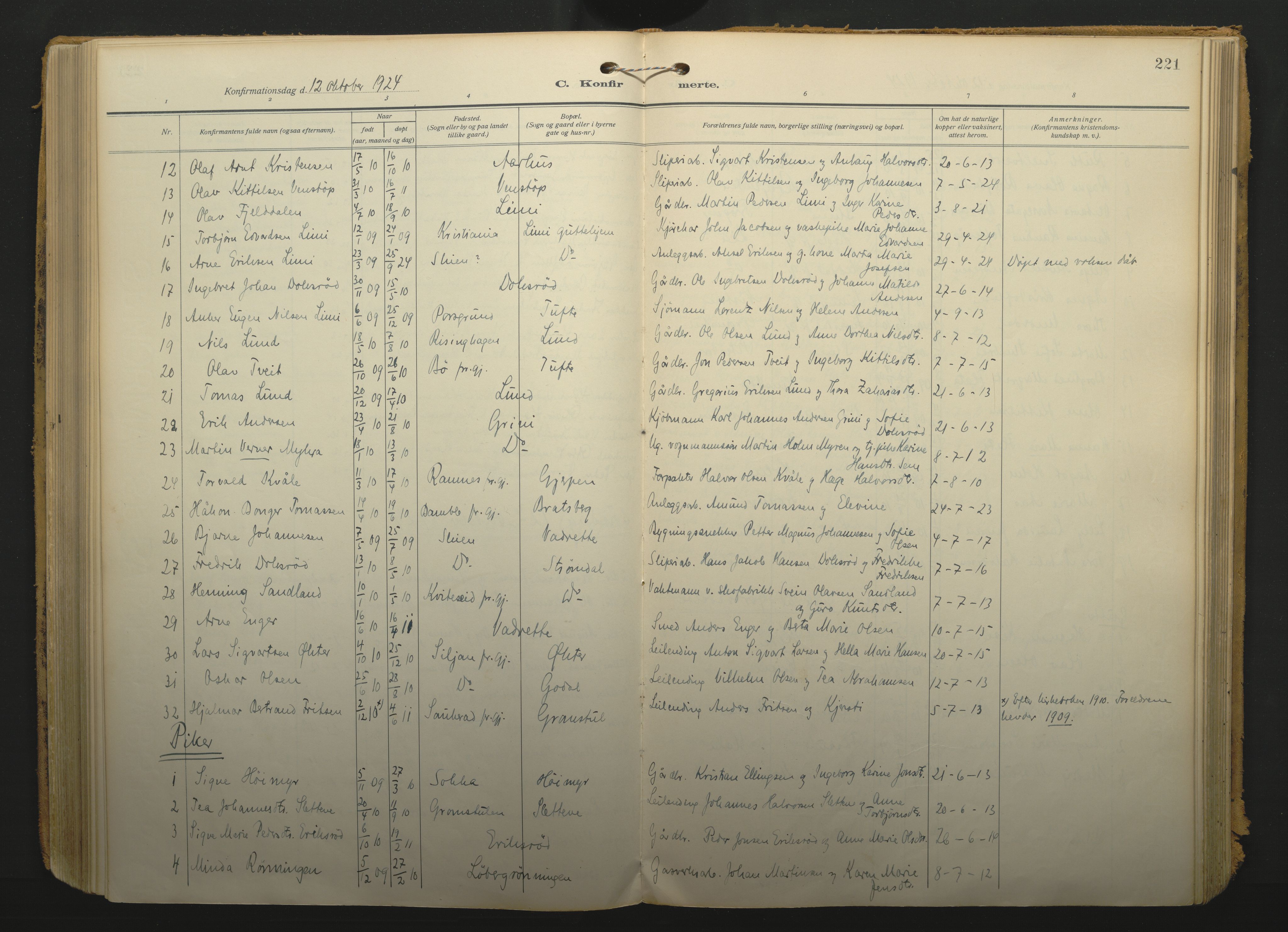Gjerpen kirkebøker, SAKO/A-265/F/Fa/L0013: Parish register (official) no. I 13, 1914-1924, p. 221