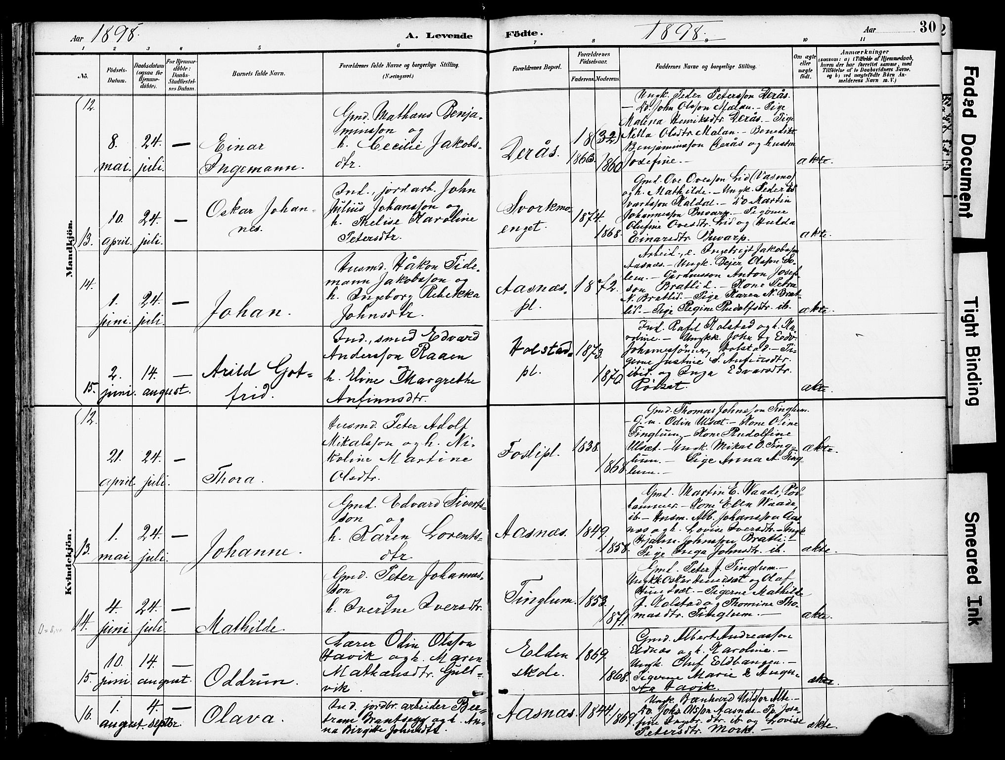 Ministerialprotokoller, klokkerbøker og fødselsregistre - Nord-Trøndelag, AV/SAT-A-1458/742/L0409: Parish register (official) no. 742A02, 1891-1905, p. 30