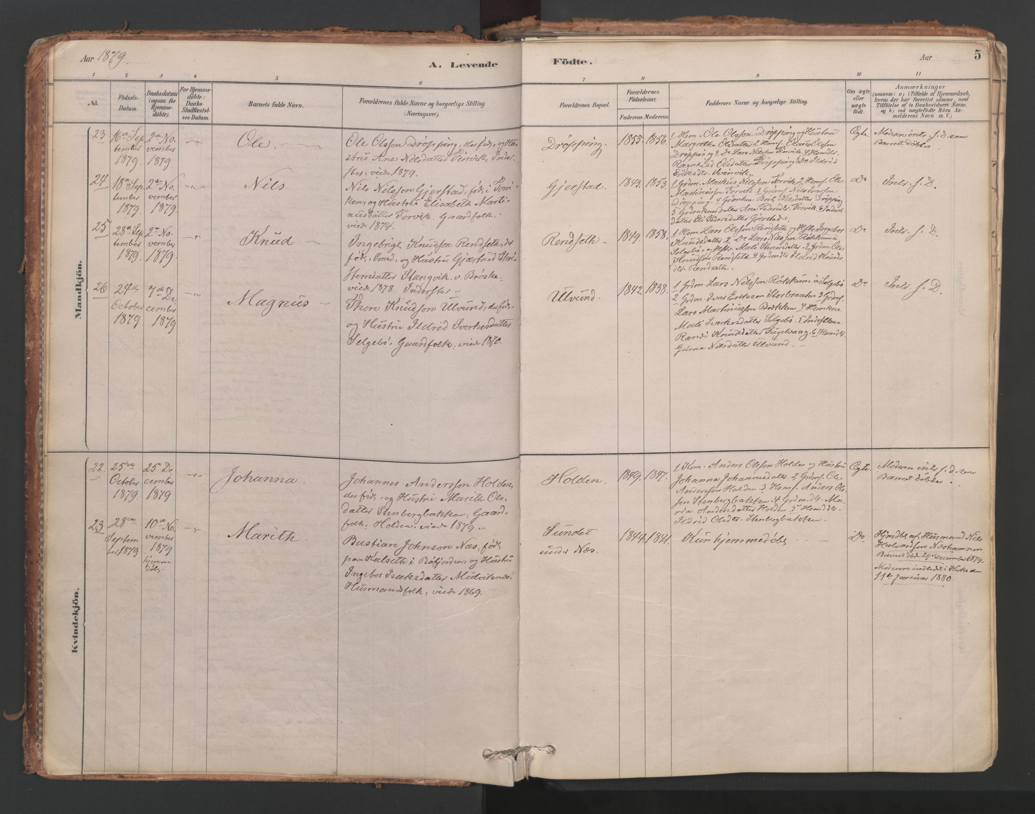 Ministerialprotokoller, klokkerbøker og fødselsregistre - Møre og Romsdal, AV/SAT-A-1454/592/L1029: Parish register (official) no. 592A07, 1879-1902, p. 5