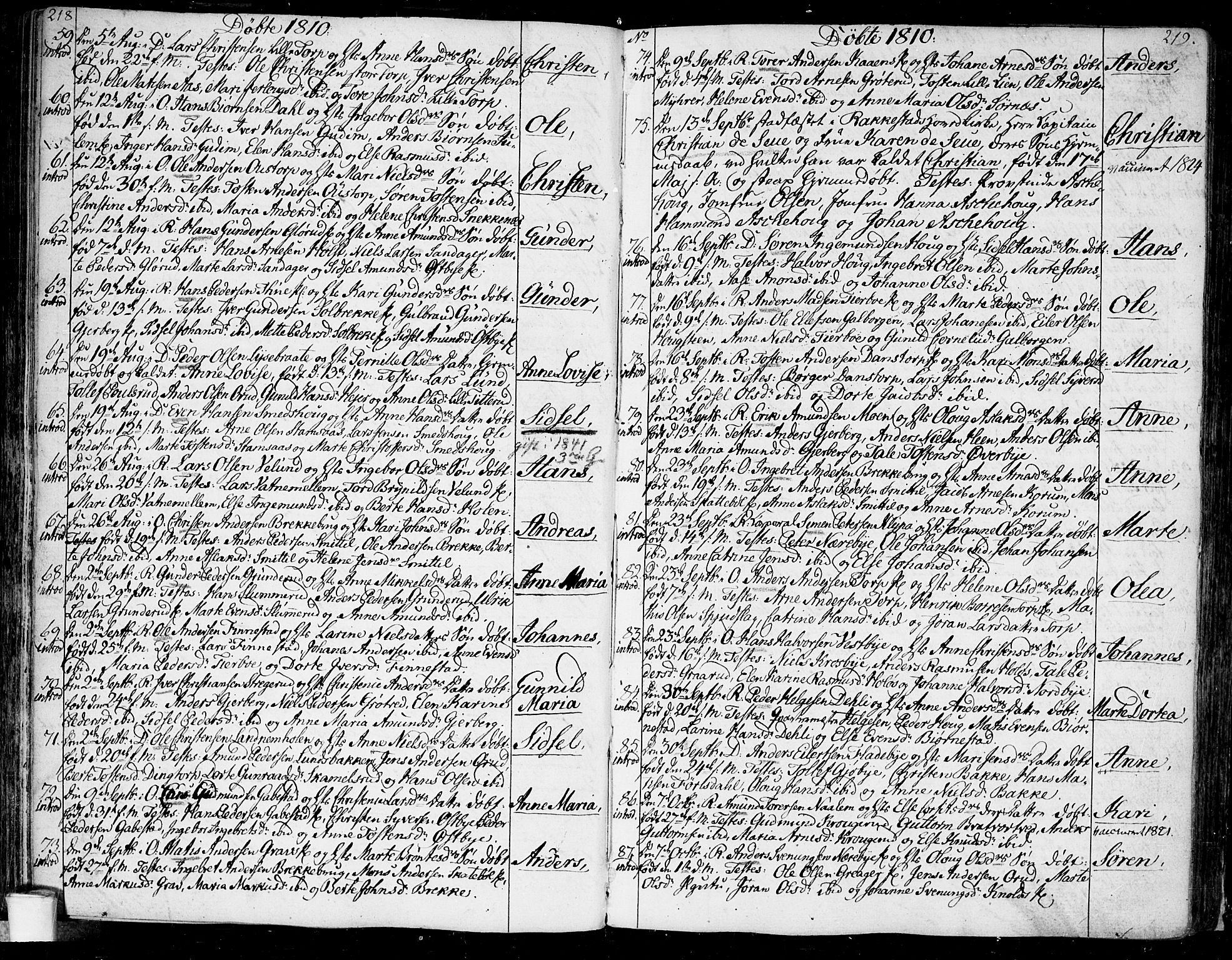 Rakkestad prestekontor Kirkebøker, SAO/A-2008/F/Fa/L0005: Parish register (official) no. I 5, 1784-1814, p. 218-219