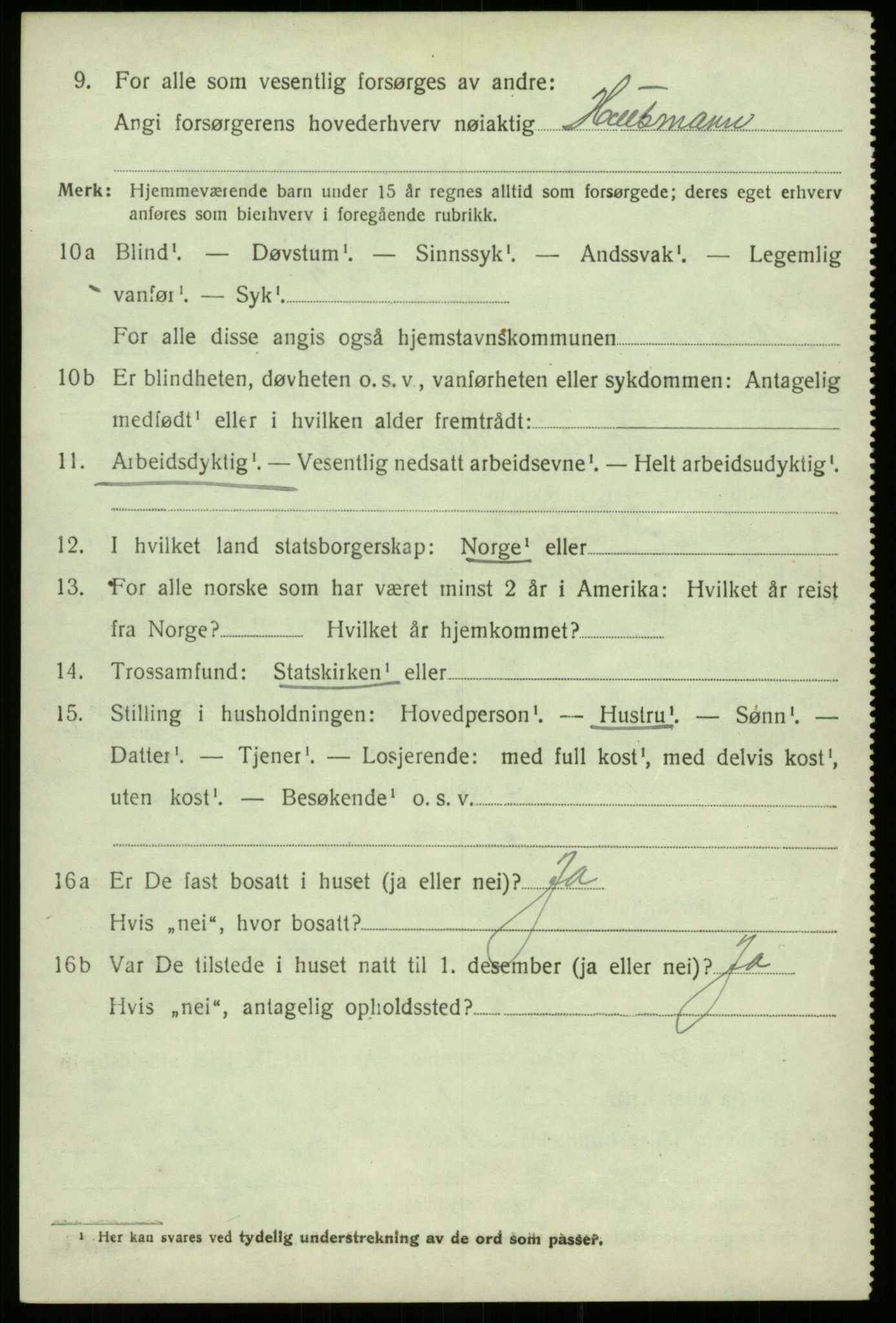 SAB, 1920 census for Lærdal, 1920, p. 4343