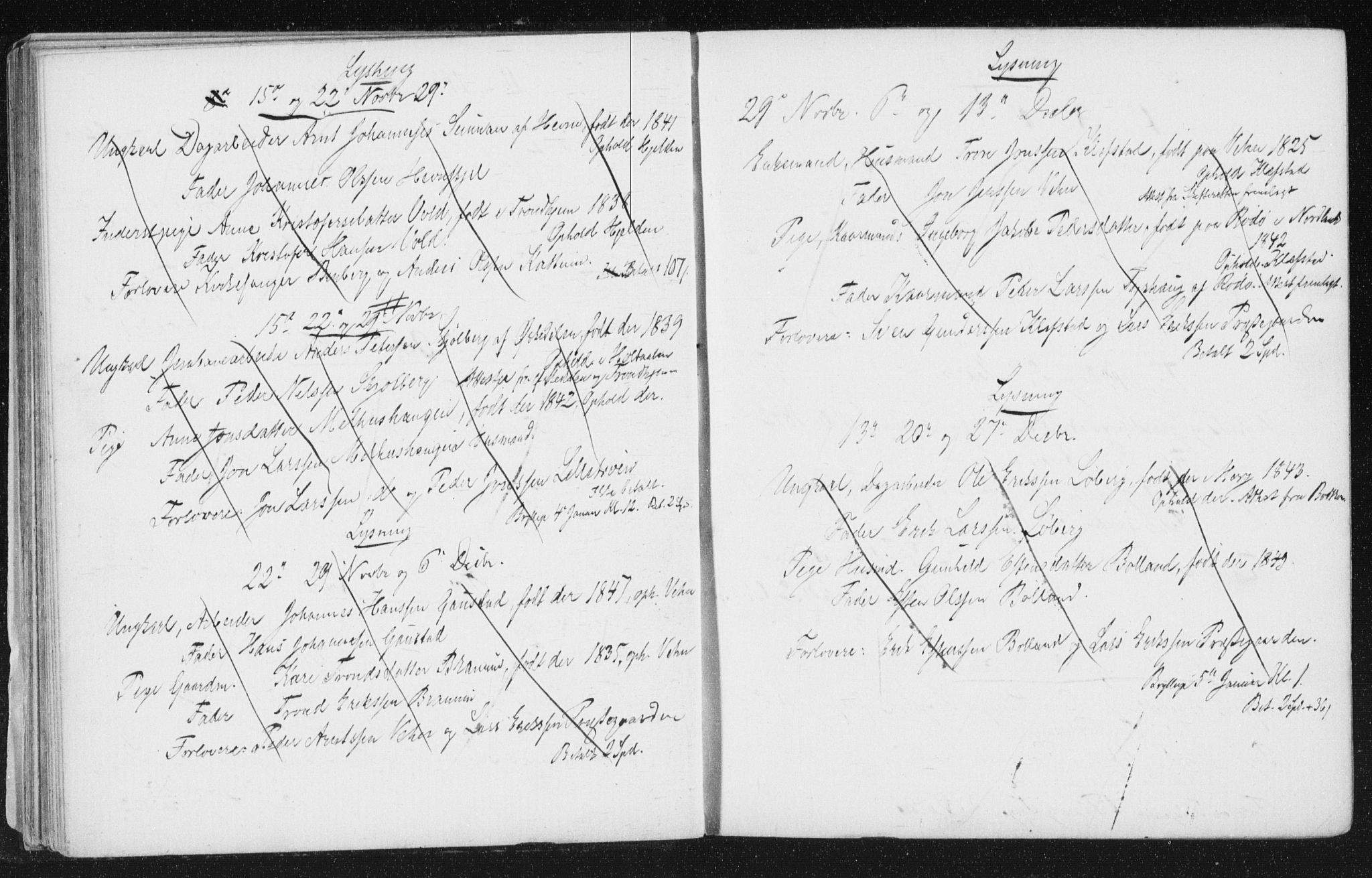 Melhus sokneprestkontor, SAT/A-1141/1/I/I1/I1f/L0010: Banns register no. 691.I.1F10, 1867-1894